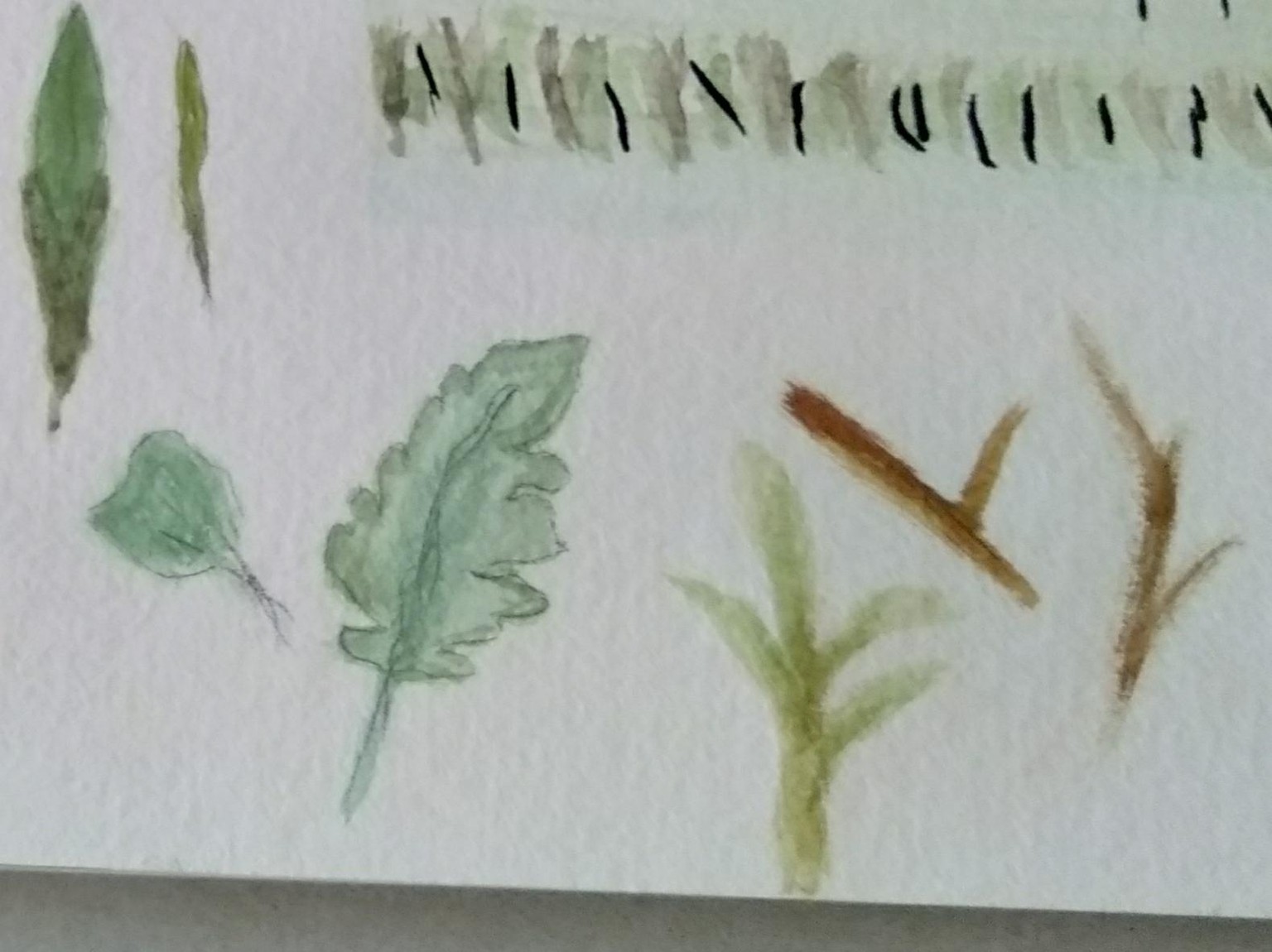 Floral watercolor - image 5 - student project