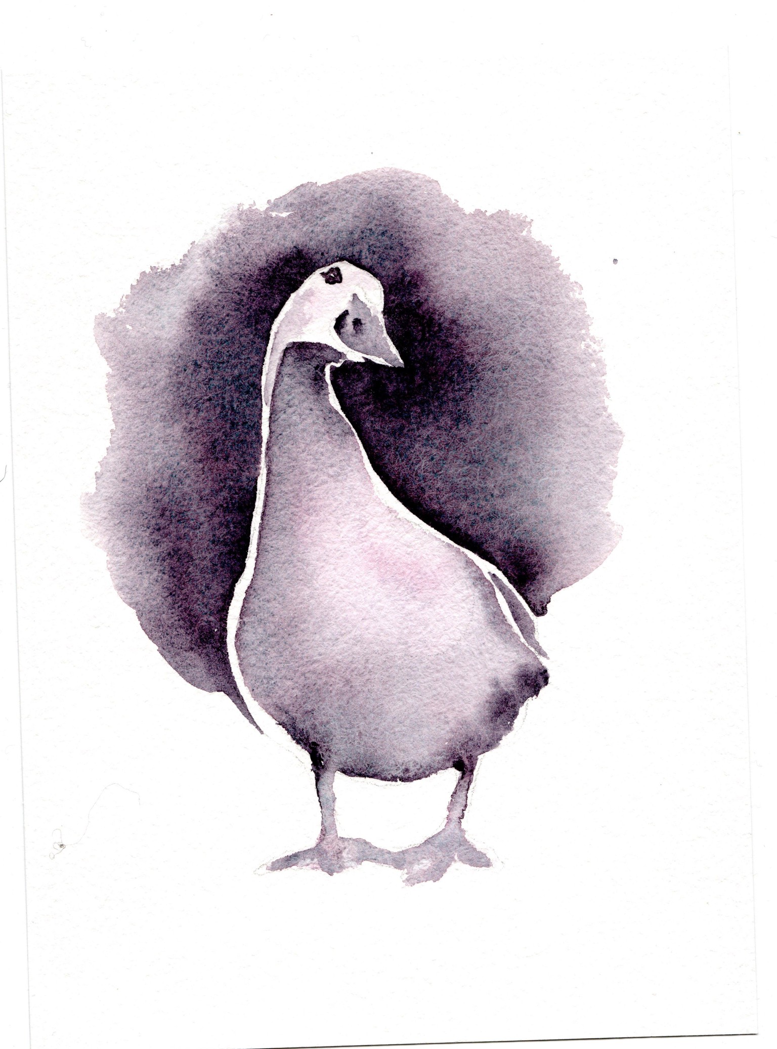 Goose & other - image 1 - student project