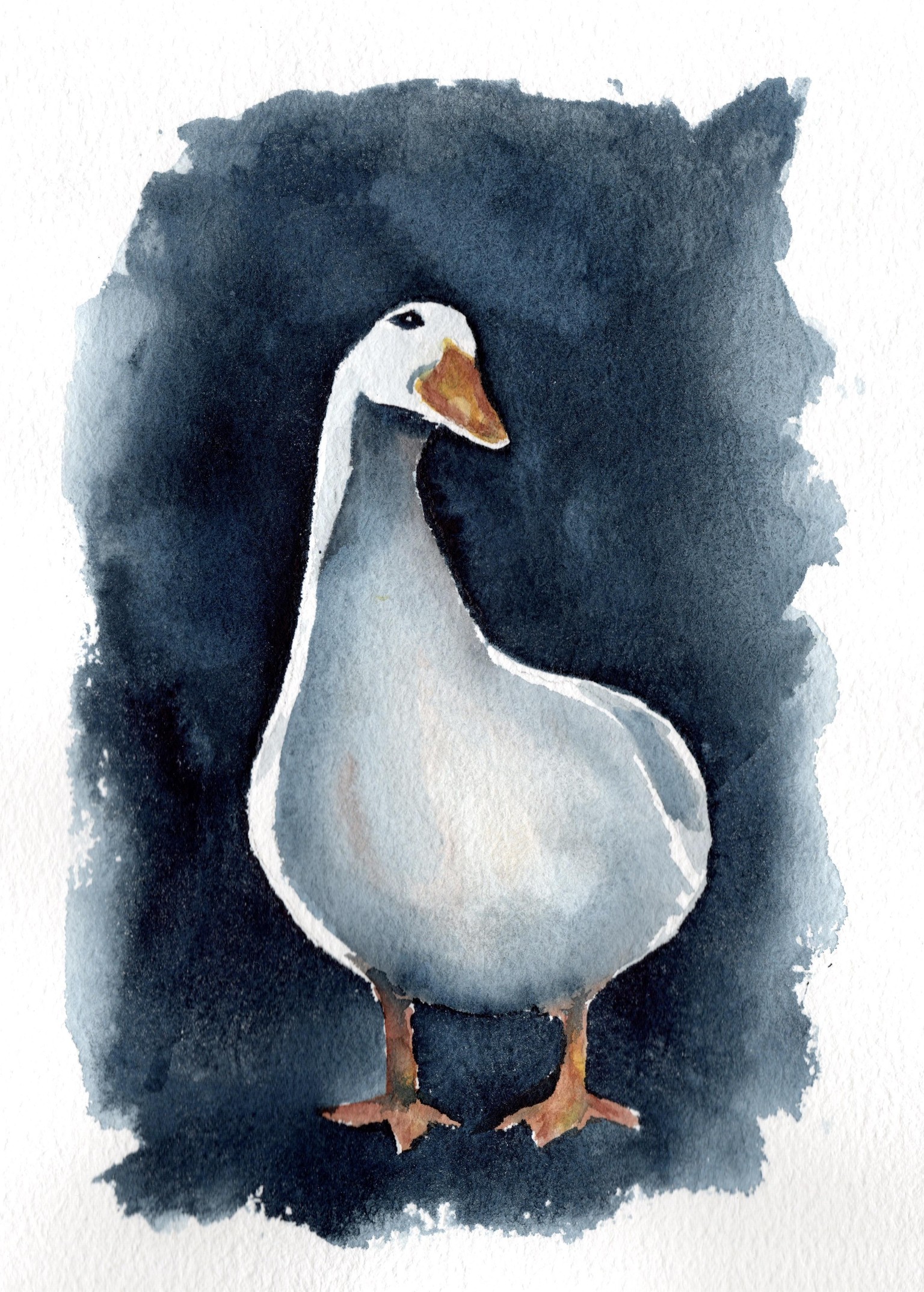 Goose & other - image 3 - student project