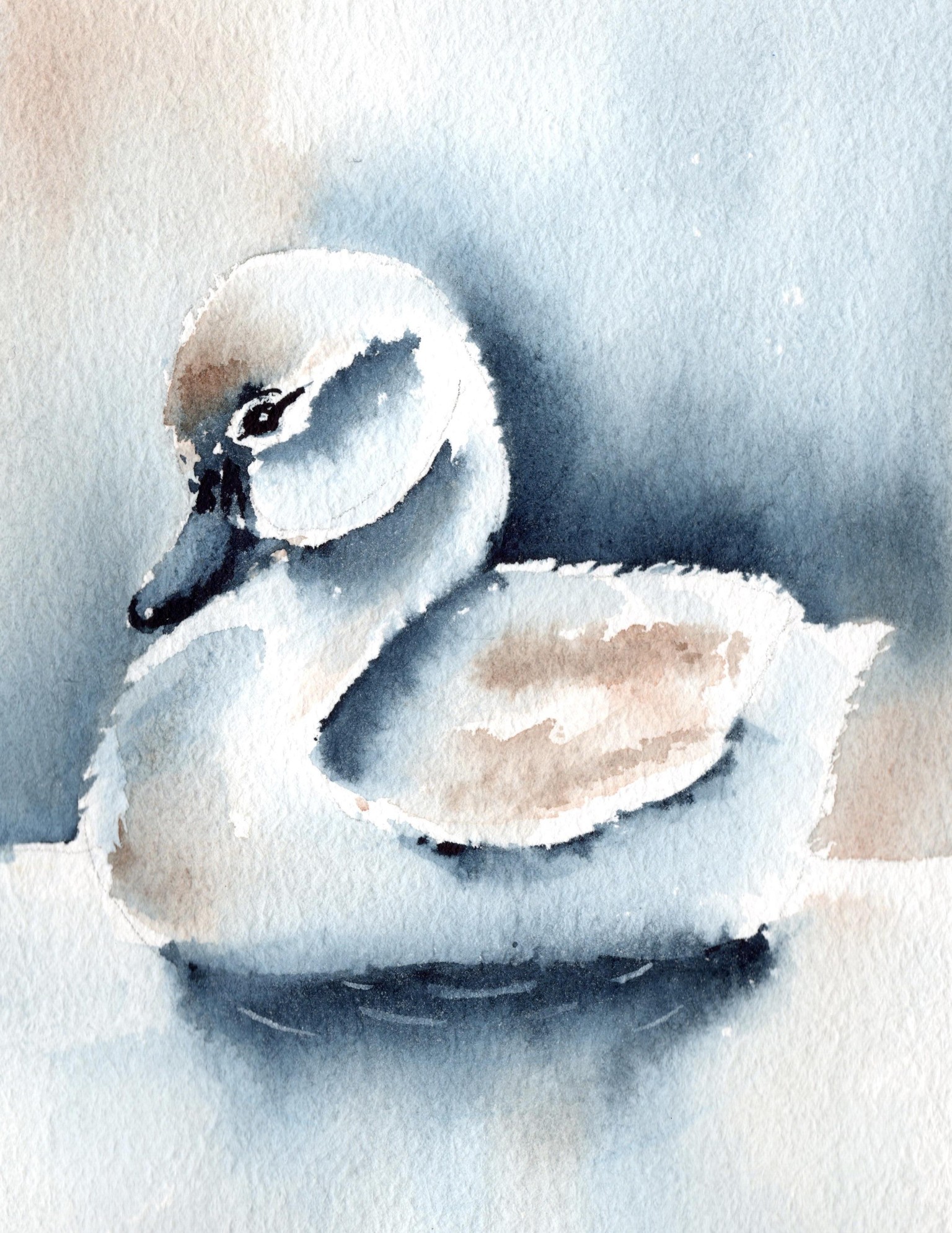 Goose & other - image 2 - student project