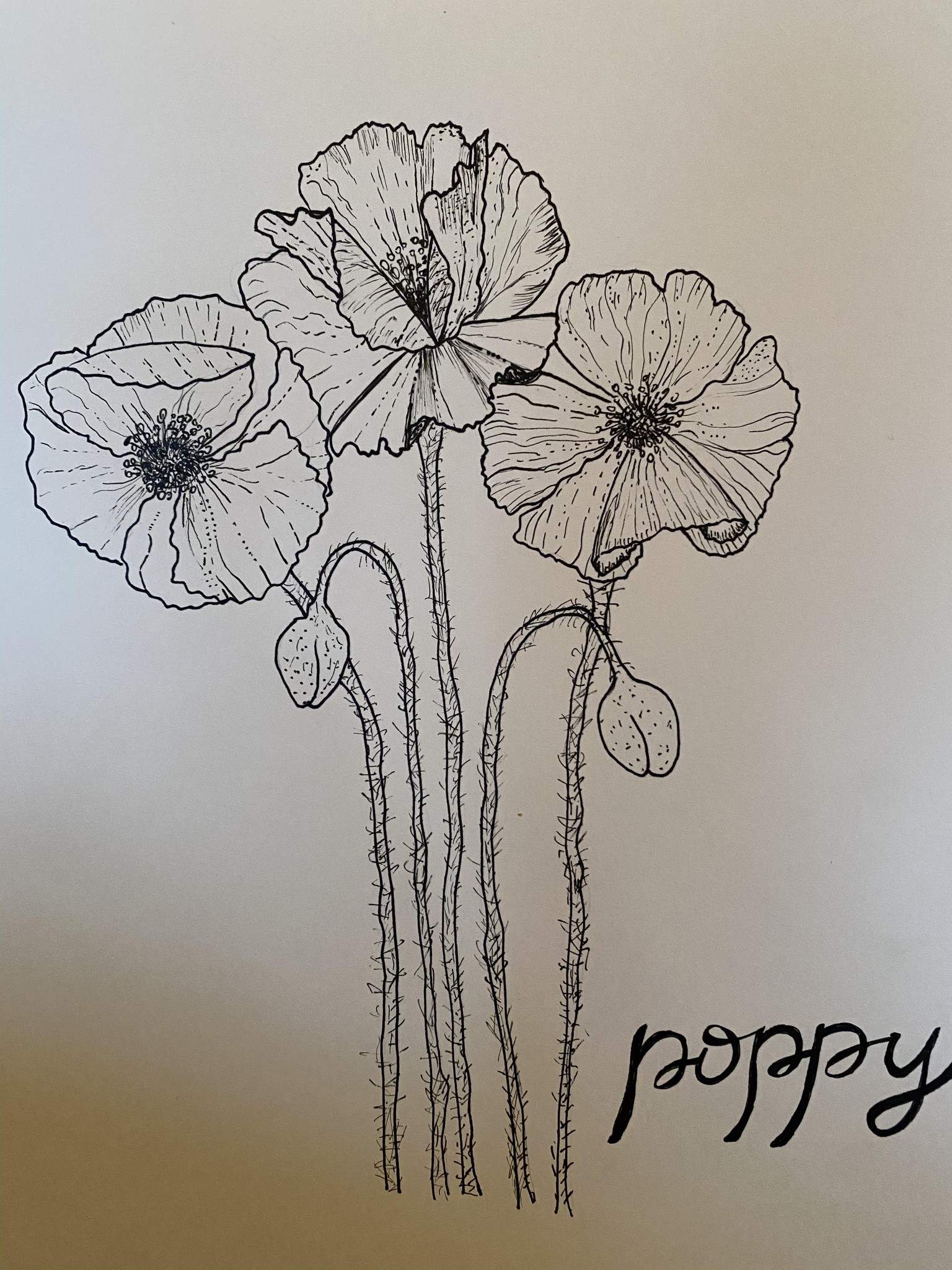 Poppies and hydrangeas - image 2 - student project