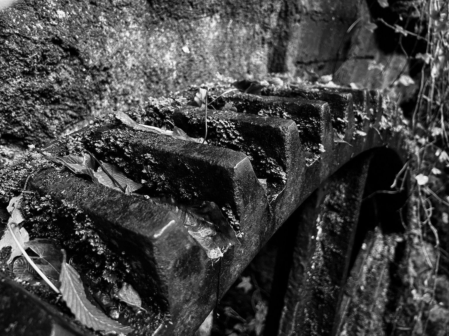 Red Filter - image 1 - student project