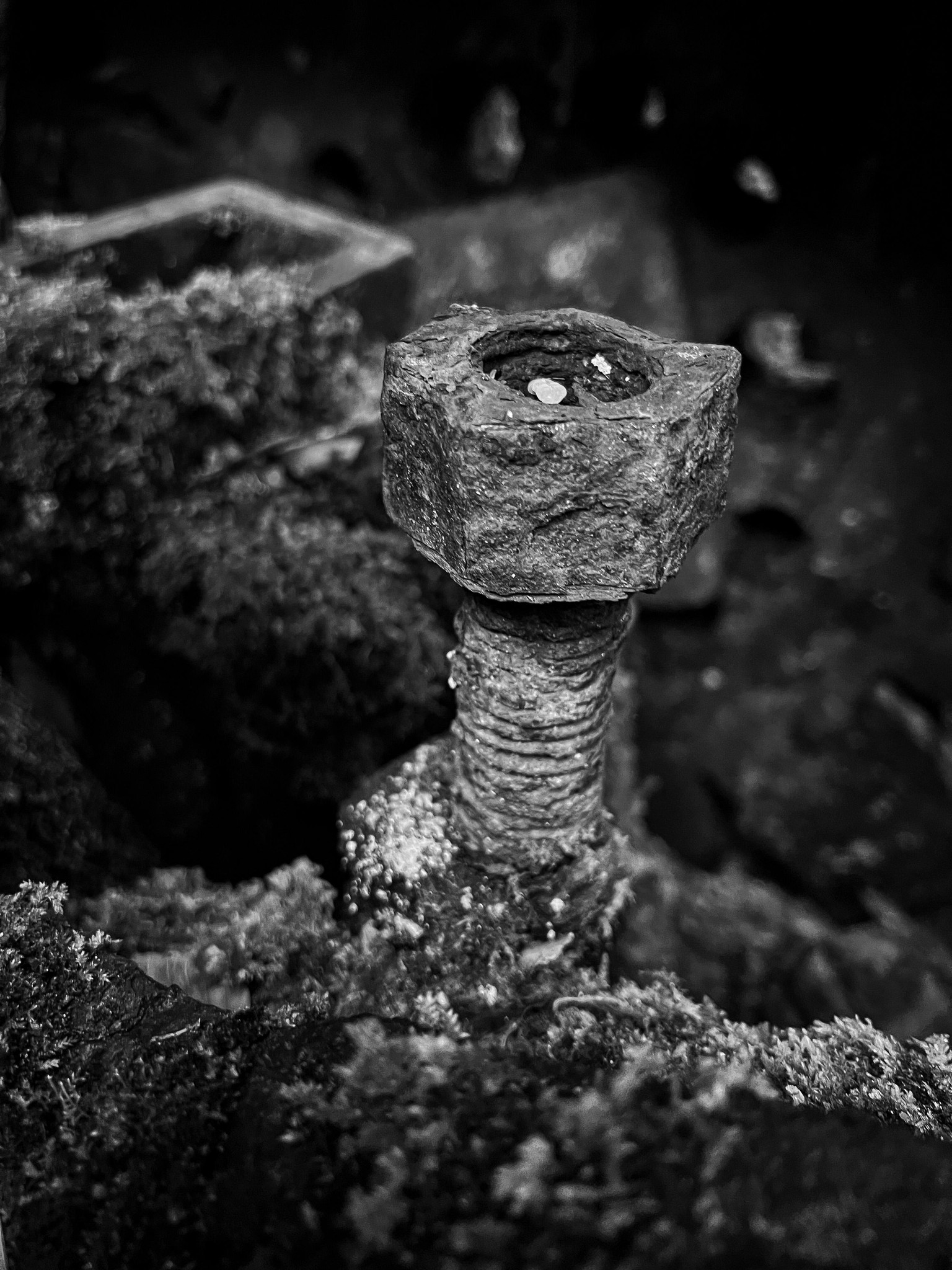 Red Filter - image 2 - student project