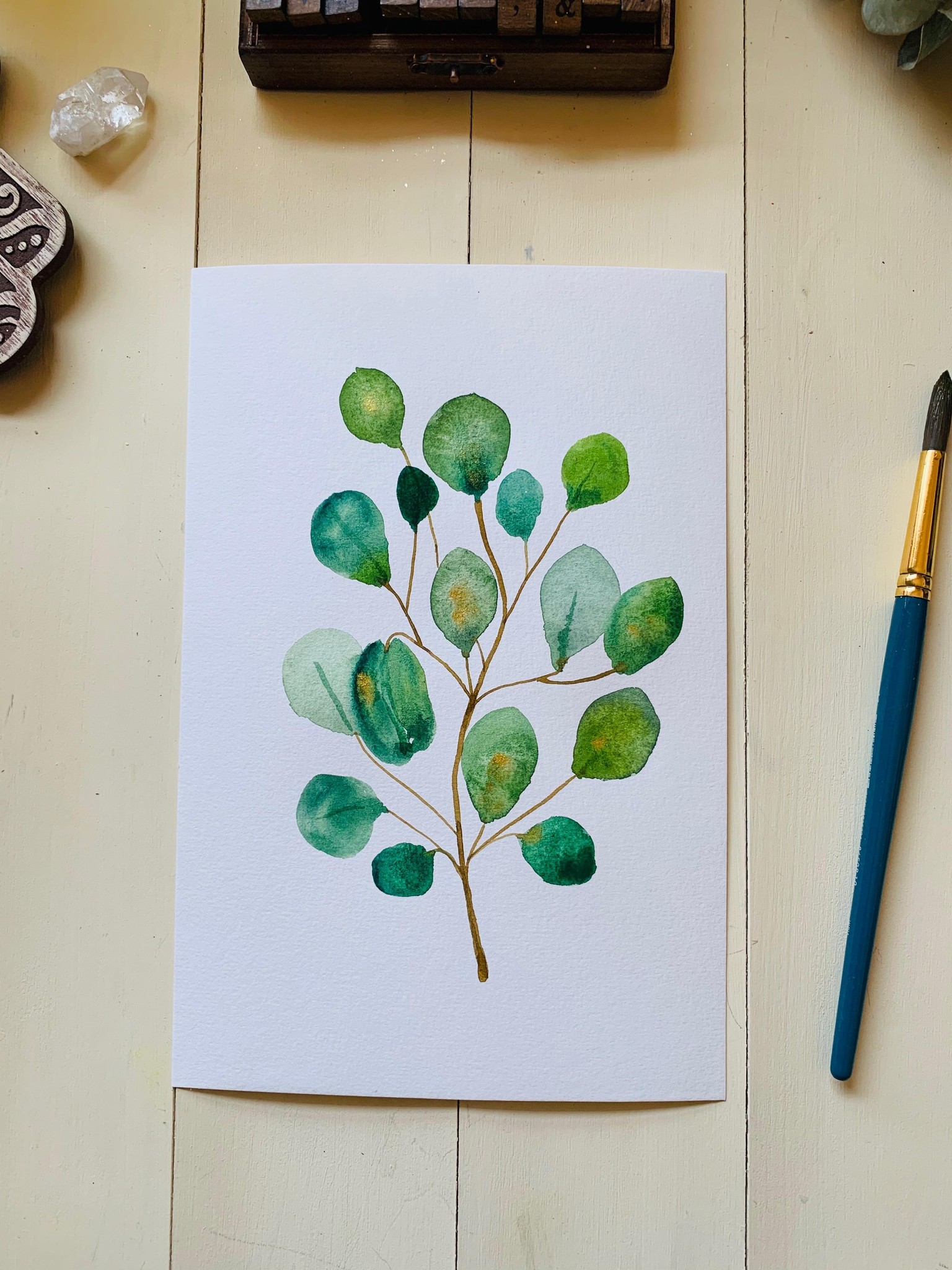 Eucalyptus from winter botanicals - image 2 - student project