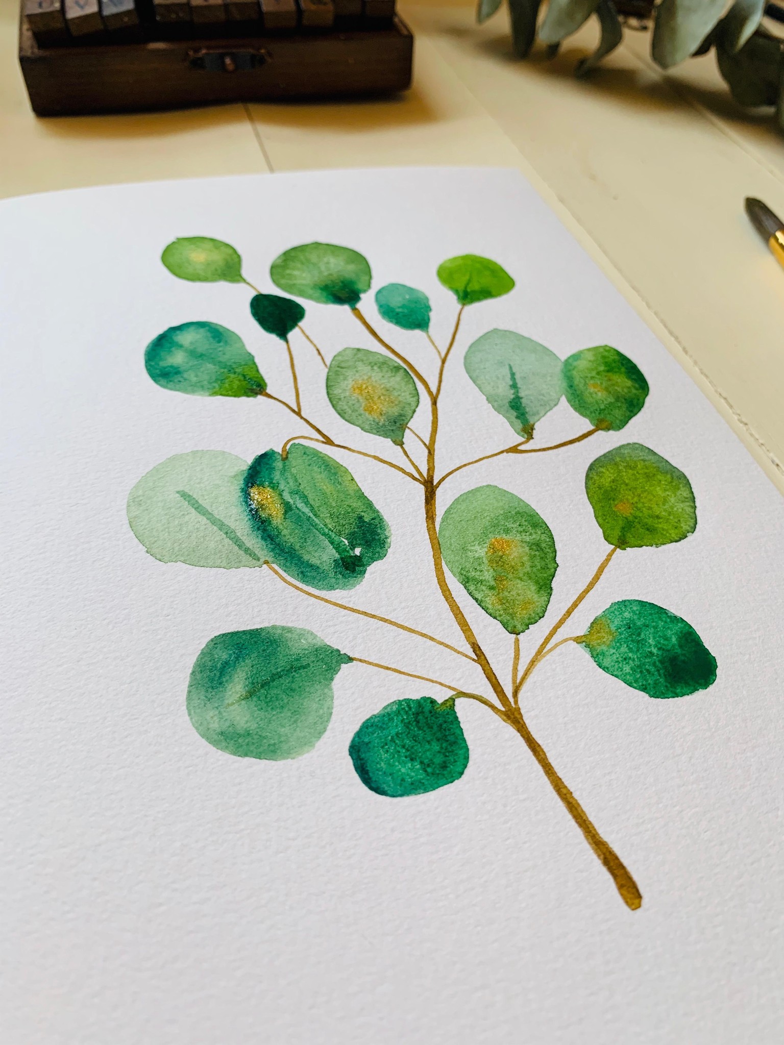 Eucalyptus from winter botanicals - image 1 - student project