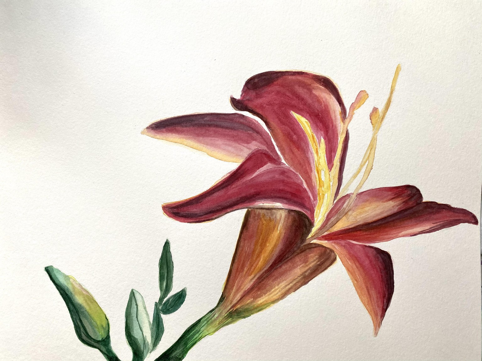 Watercolor Lily - image 1 - student project