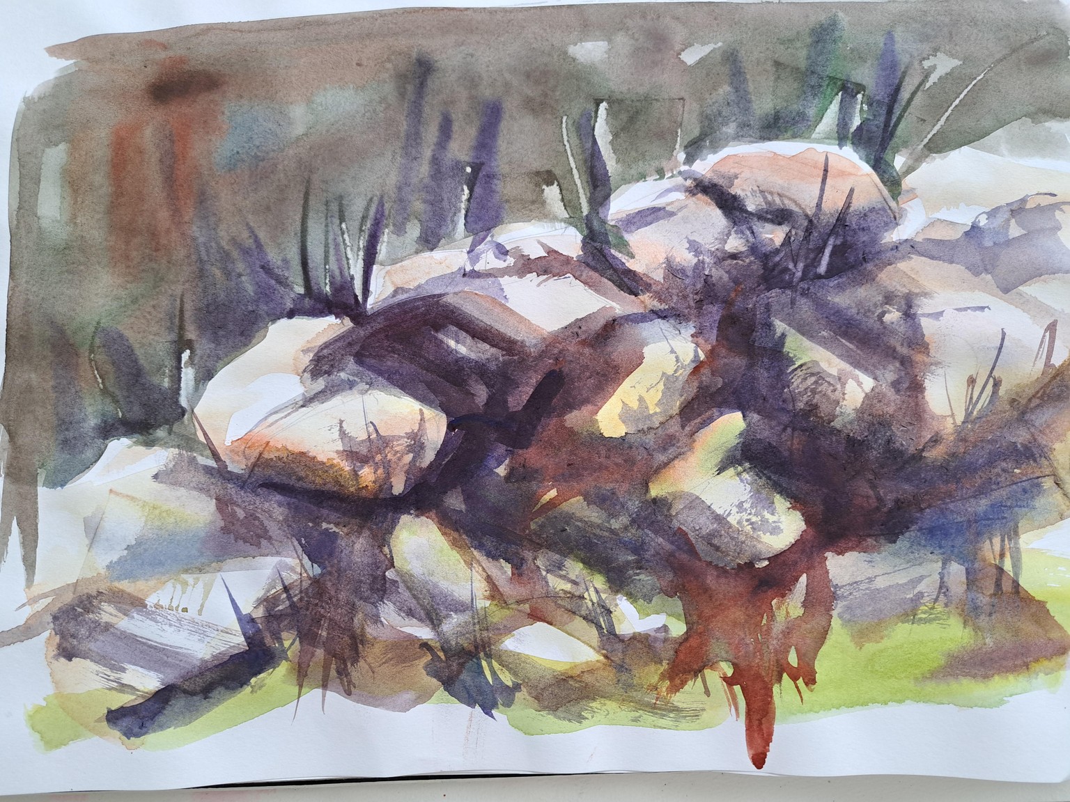 Grass and rocks - image 1 - student project