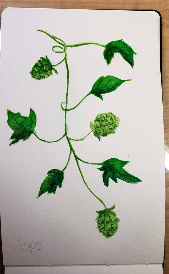 Watercolor Greenery - image 2 - student project