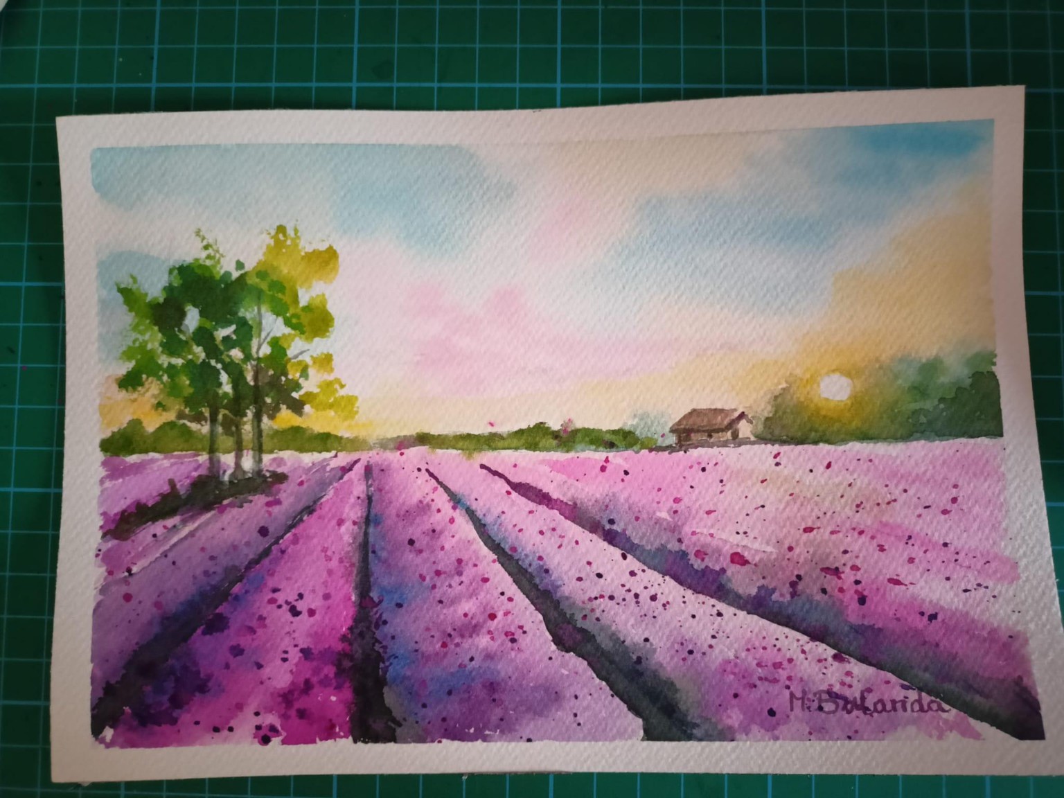 tramonto - image 1 - student project