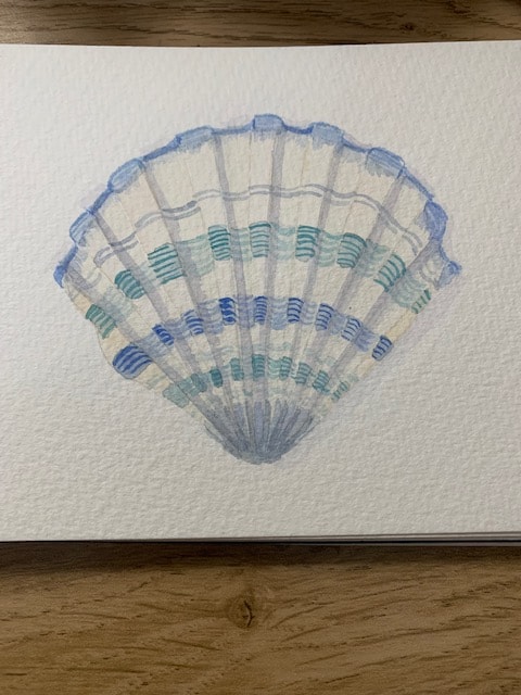 Seashells - image 2 - student project