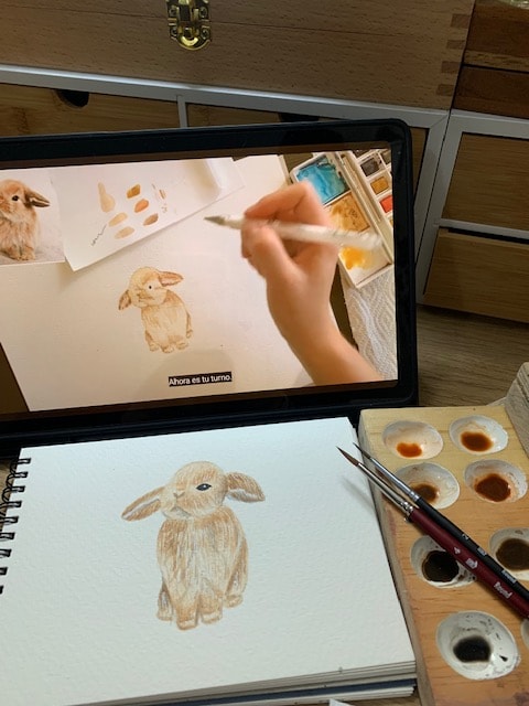 Bunny - image 1 - student project