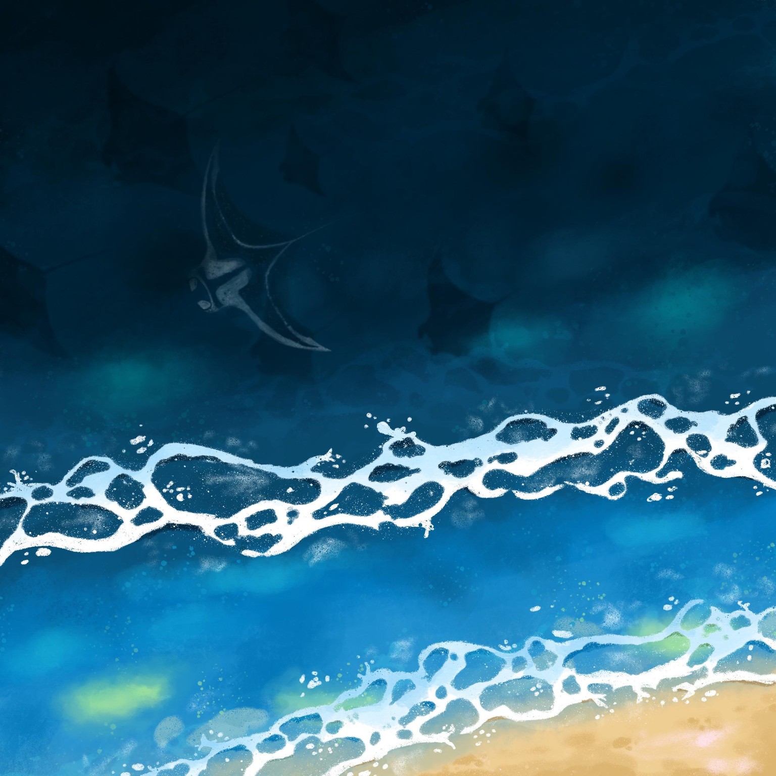 Sea side with manta rays - image 1 - student project
