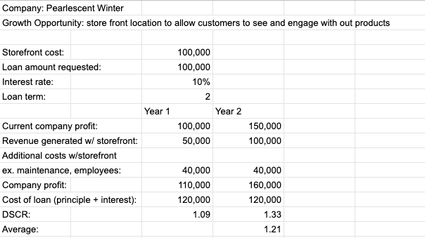 Debt Financing Project (Hypothetical) - image 1 - student project