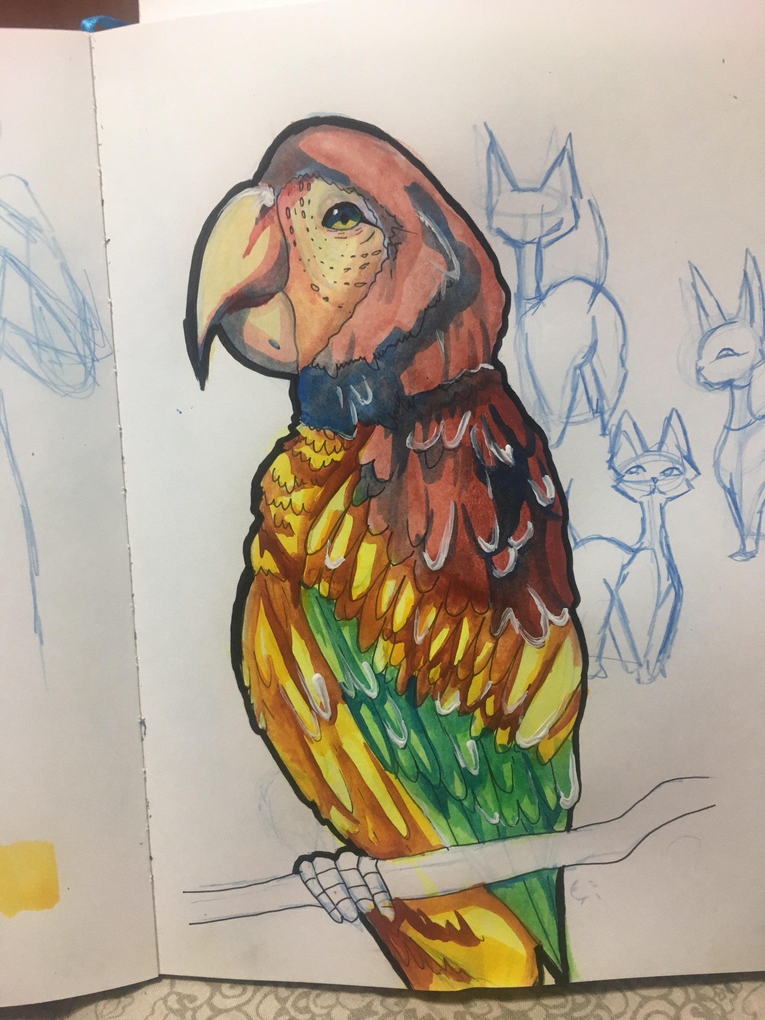 birds - image 4 - student project