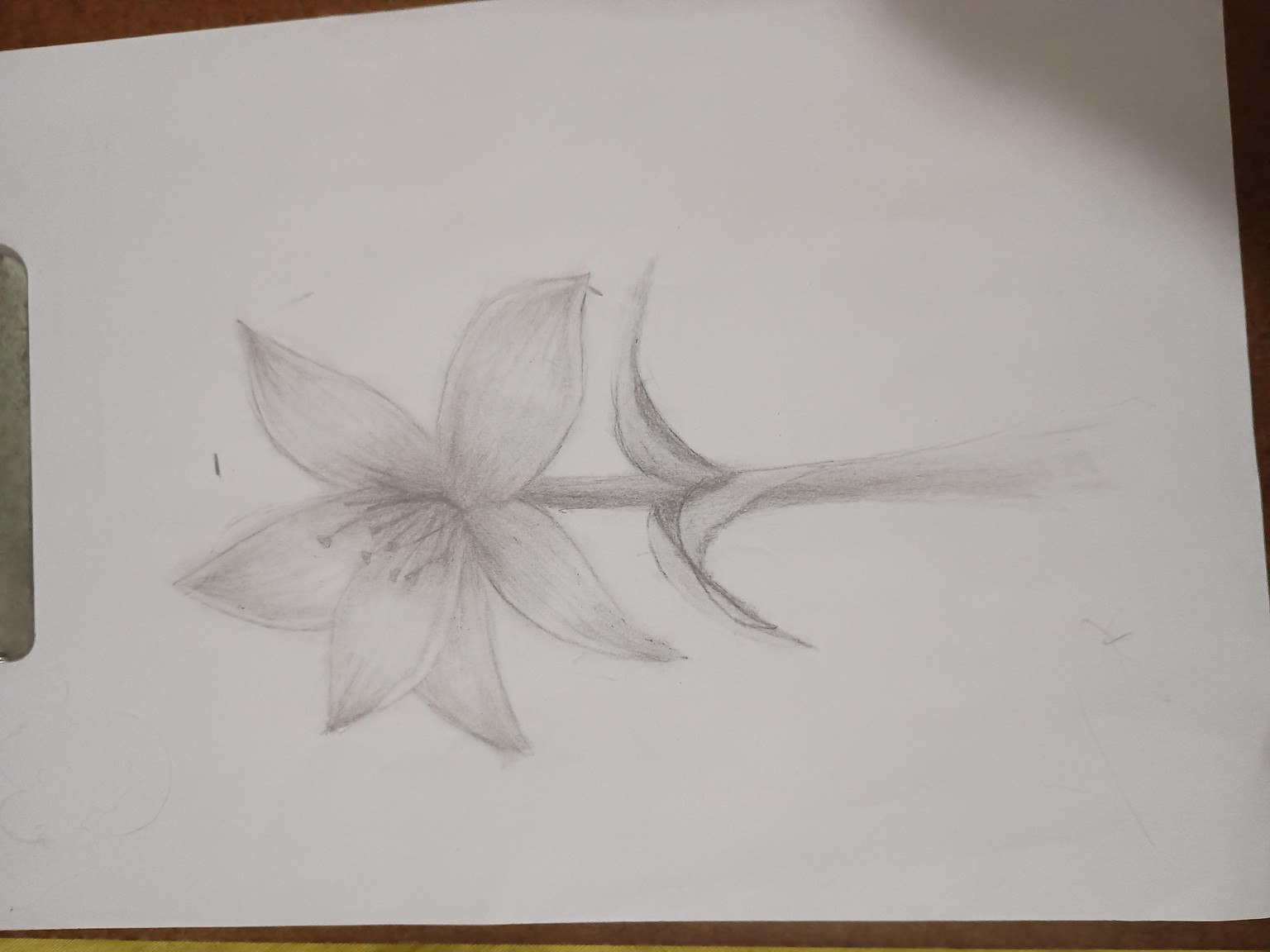 Flor do projeto - image 1 - student project