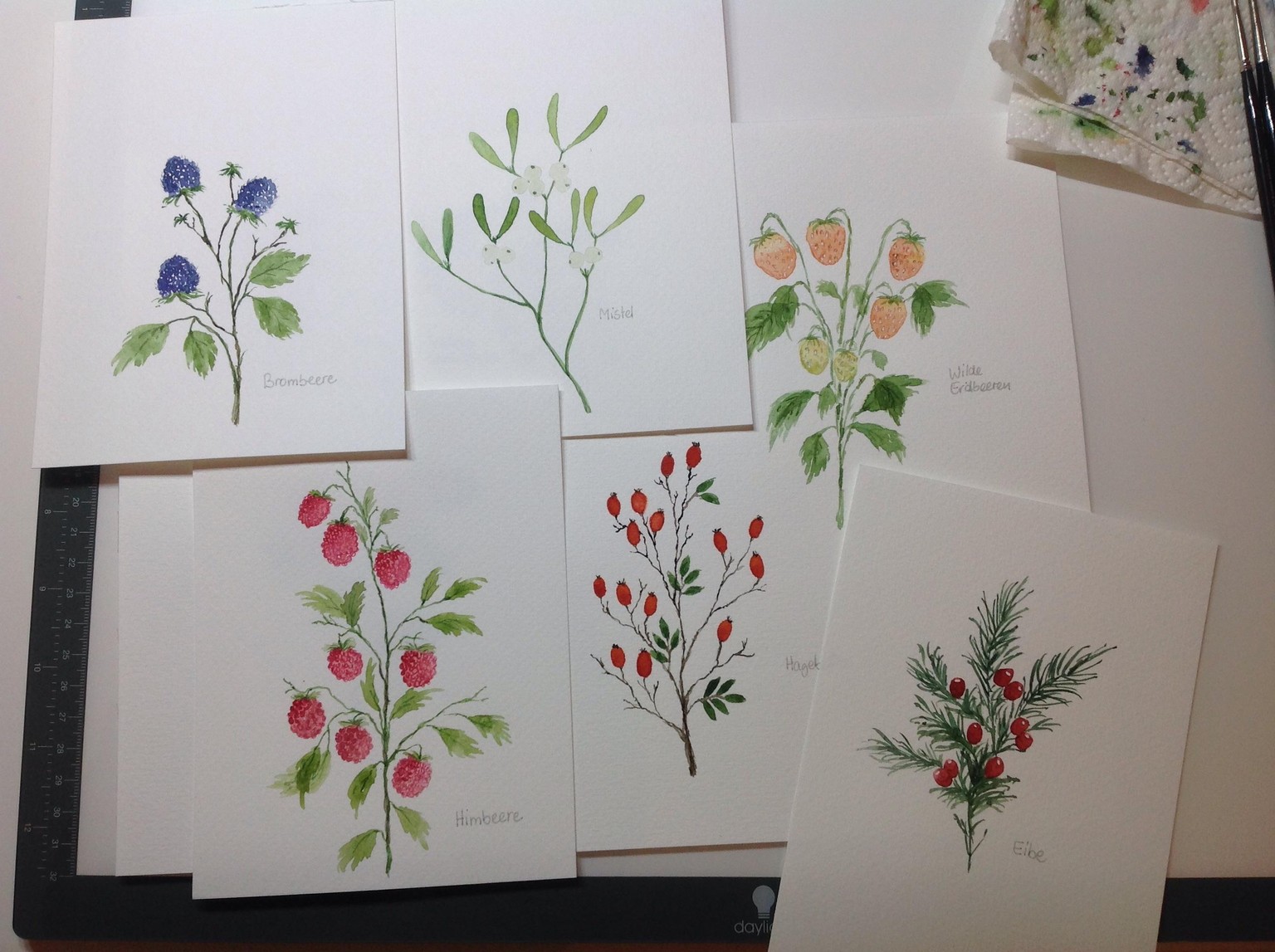 Berries, berries, berries… - image 1 - student project
