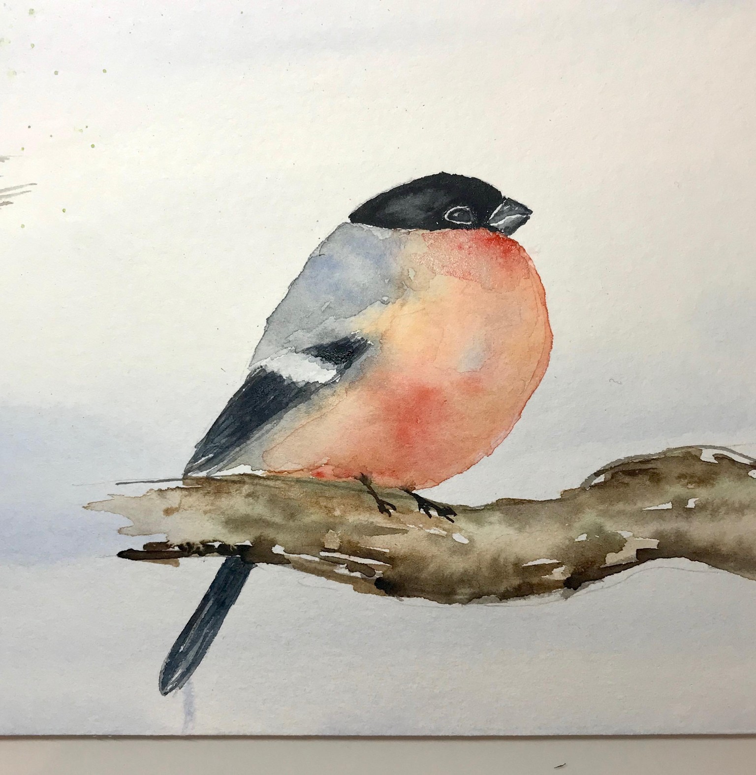 Cute birds - image 1 - student project