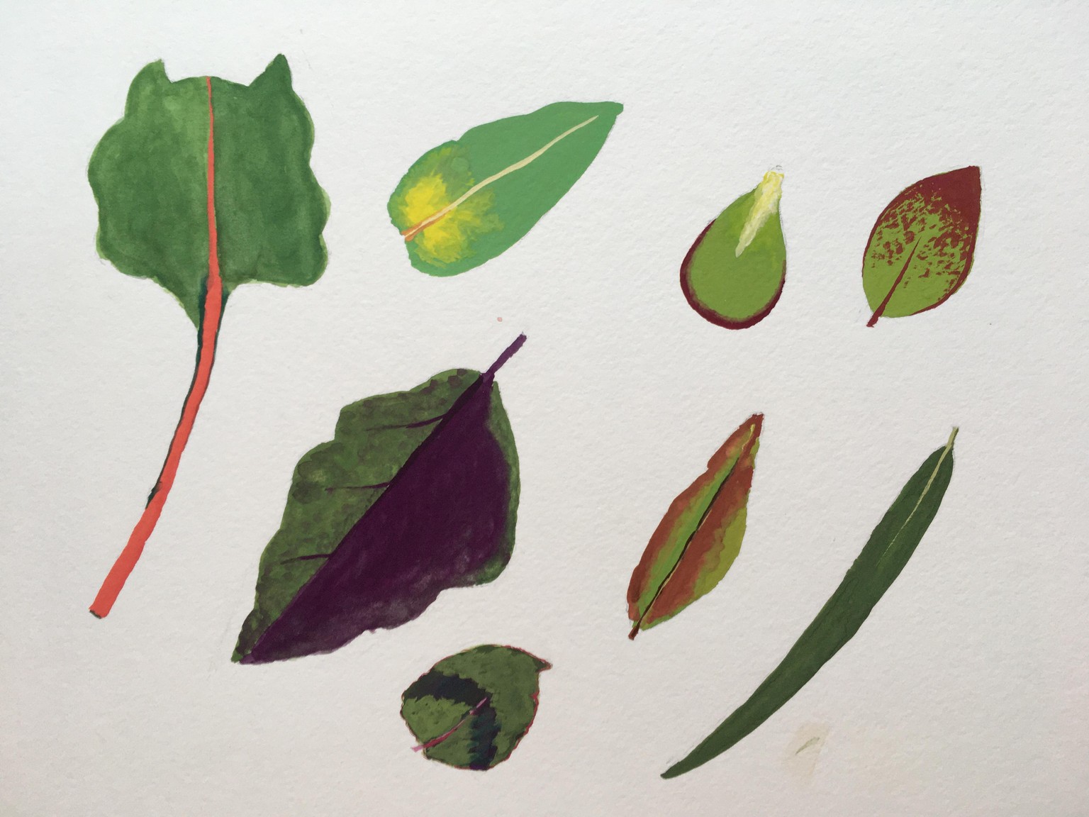 Naomi Horowitz - image 4 - student project