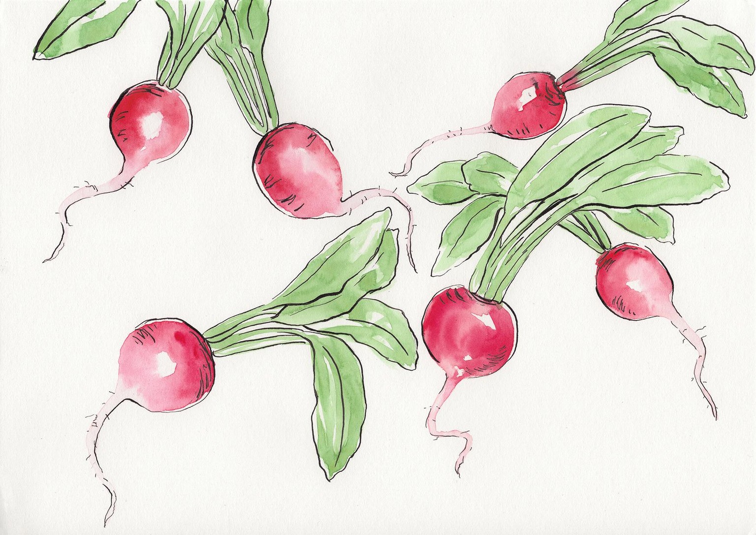 Line & Wash - image 1 - student project