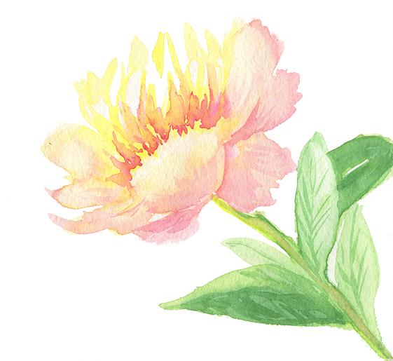 Loose Floral Exploration - image 2 - student project