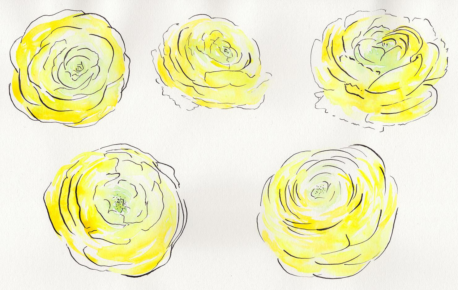 Line & Wash - image 2 - student project