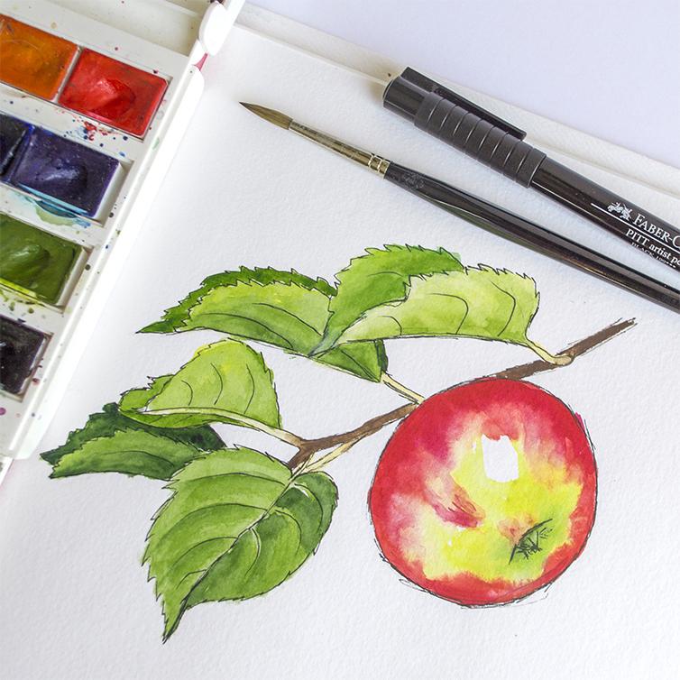 Watercolor Illustrated Recipe: Apple Pie - image 1 - student project