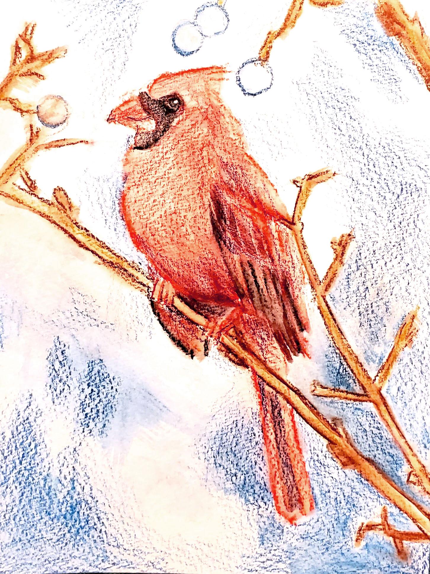 Cardinal - image 4 - student project