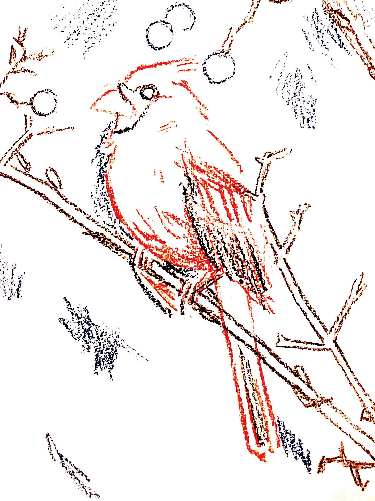 Cardinal - image 3 - student project