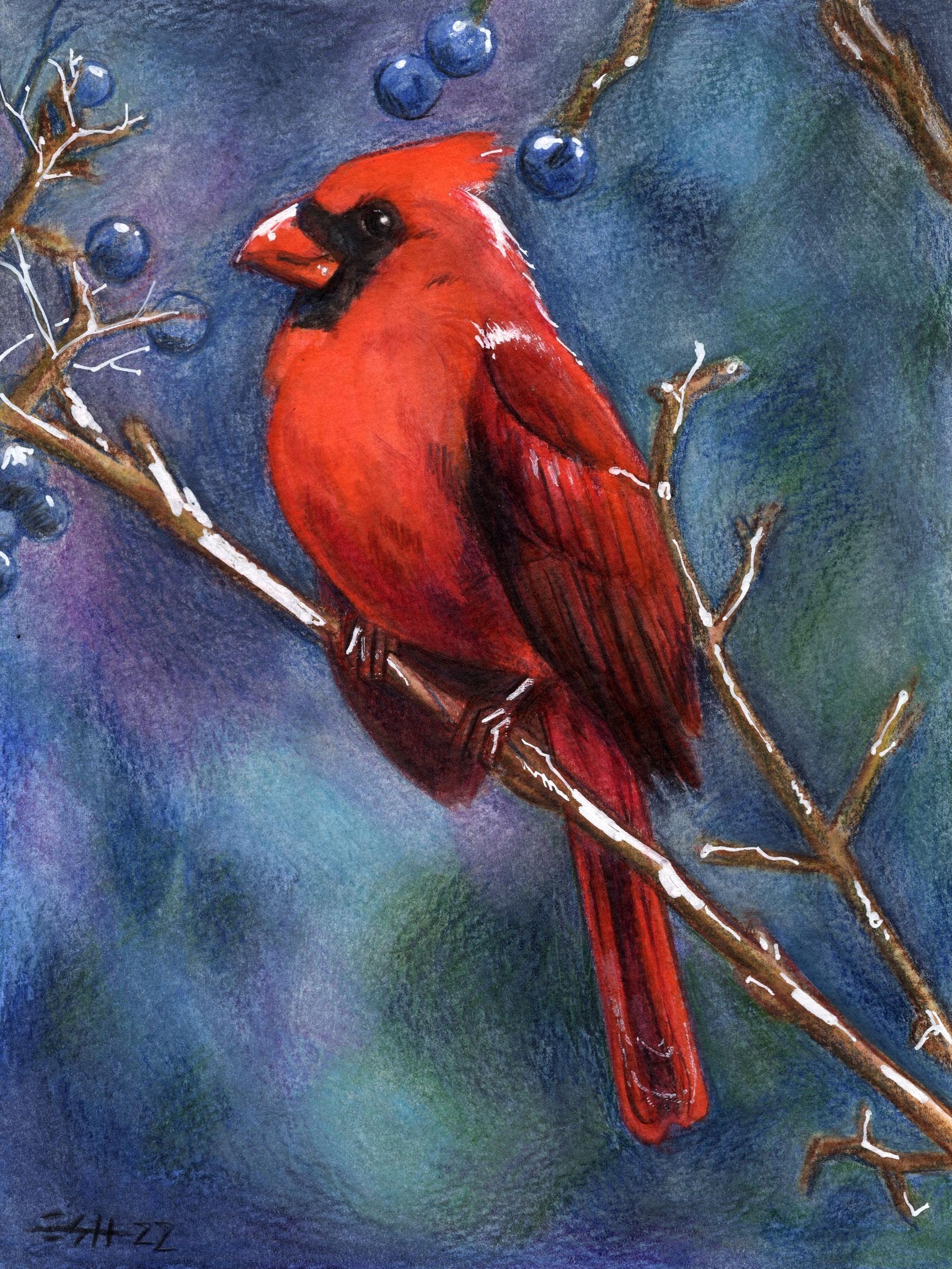 Cardinal - image 6 - student project
