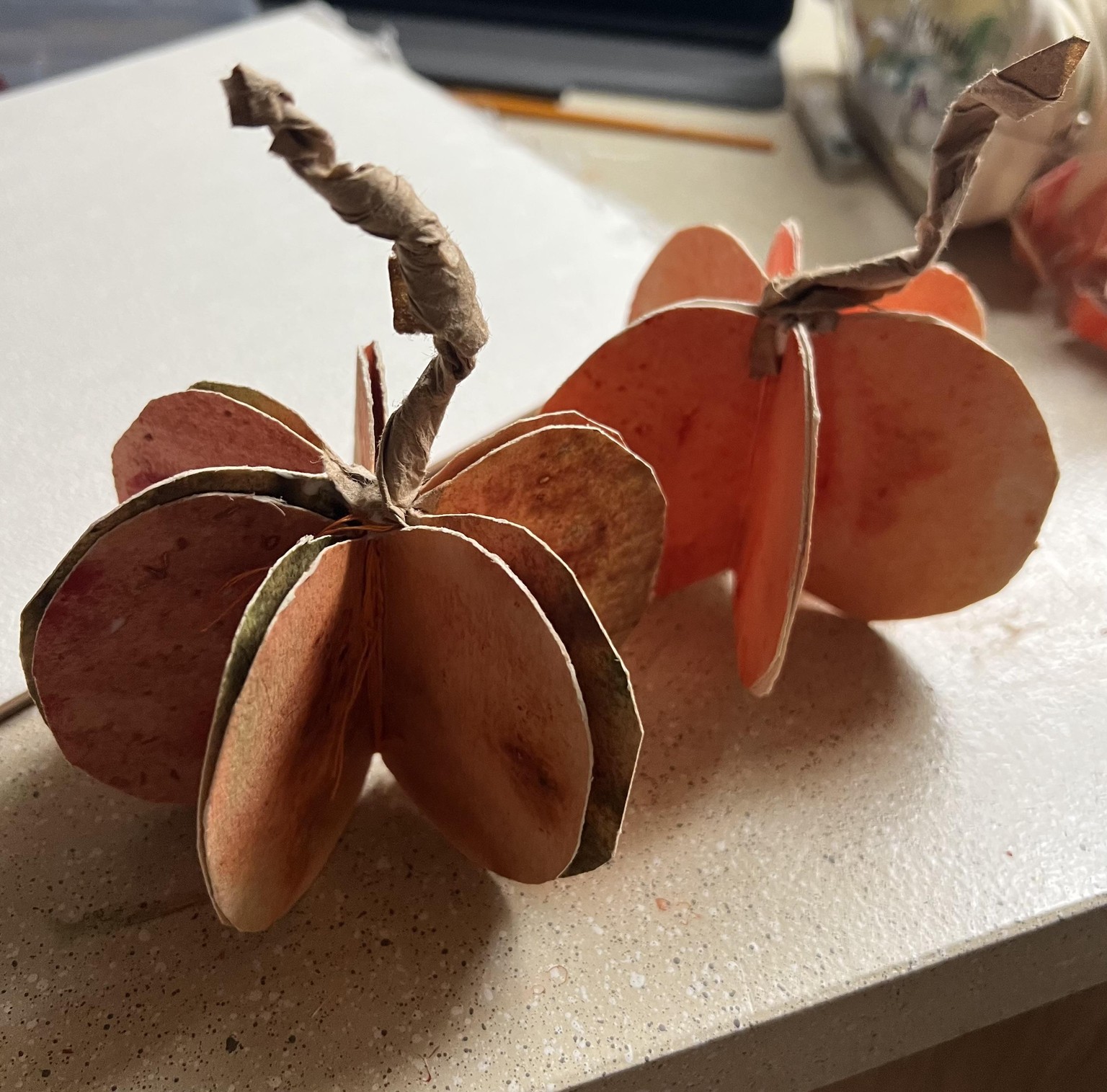 Two little pumpkins - image 1 - student project