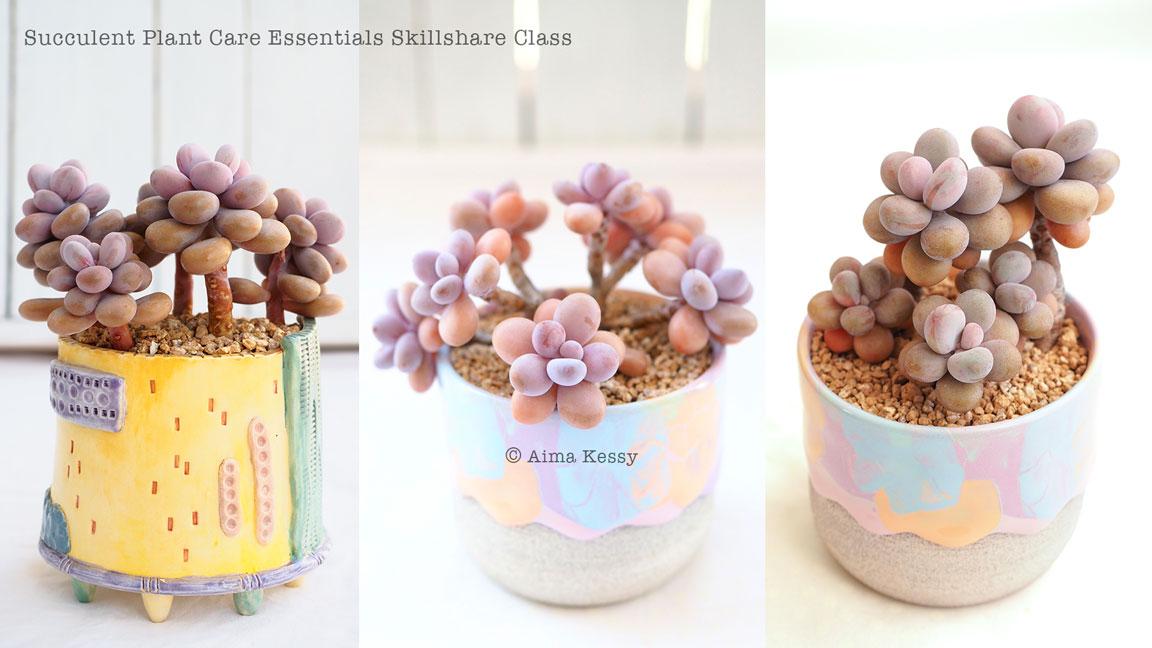 Sample Project - image 3 - student project