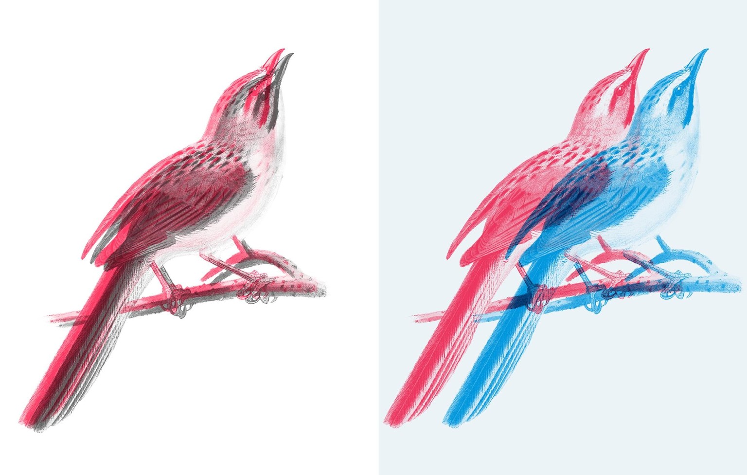 Duotones - Spring and Neon - image 5 - student project