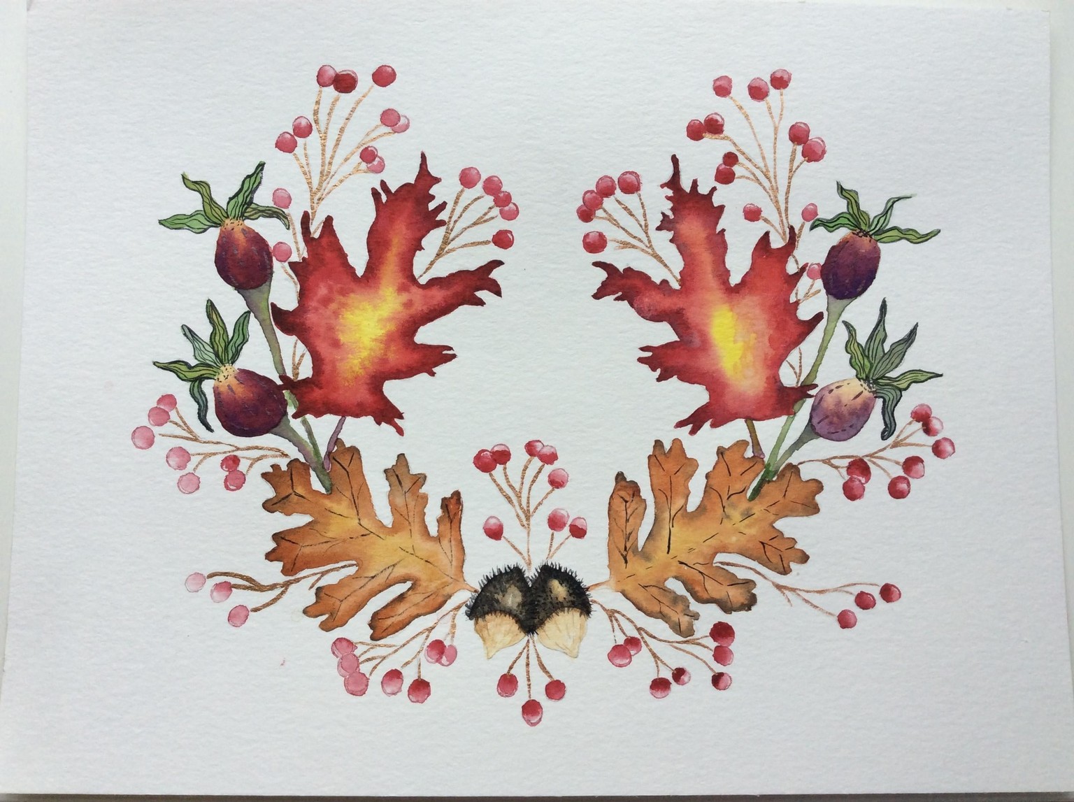 Acorns and pods - image 3 - student project