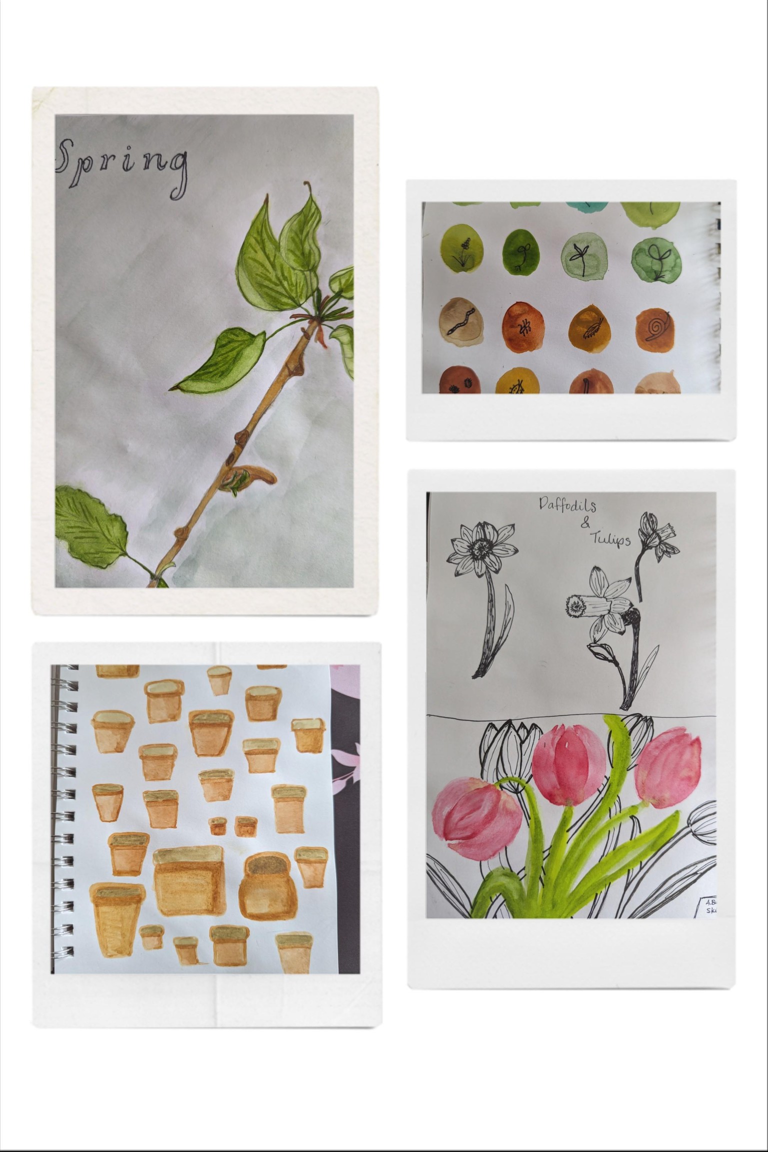 Spring in my Sketchbook - image 1 - student project