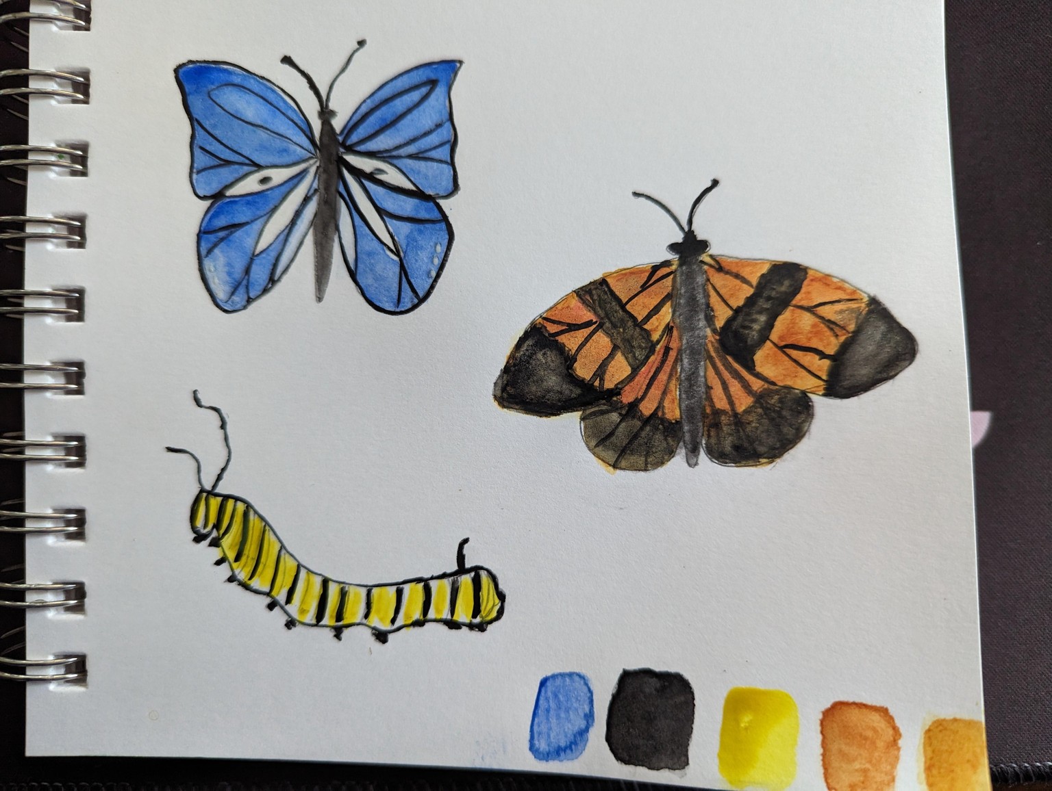 Butterflies - image 1 - student project