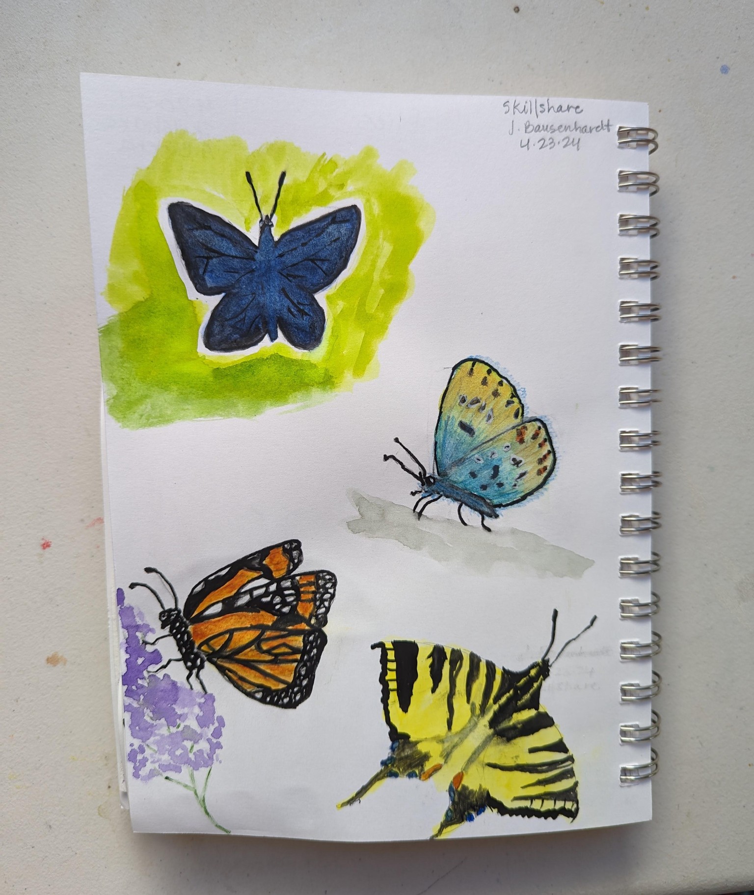 Painting Butterflies - image 1 - student project