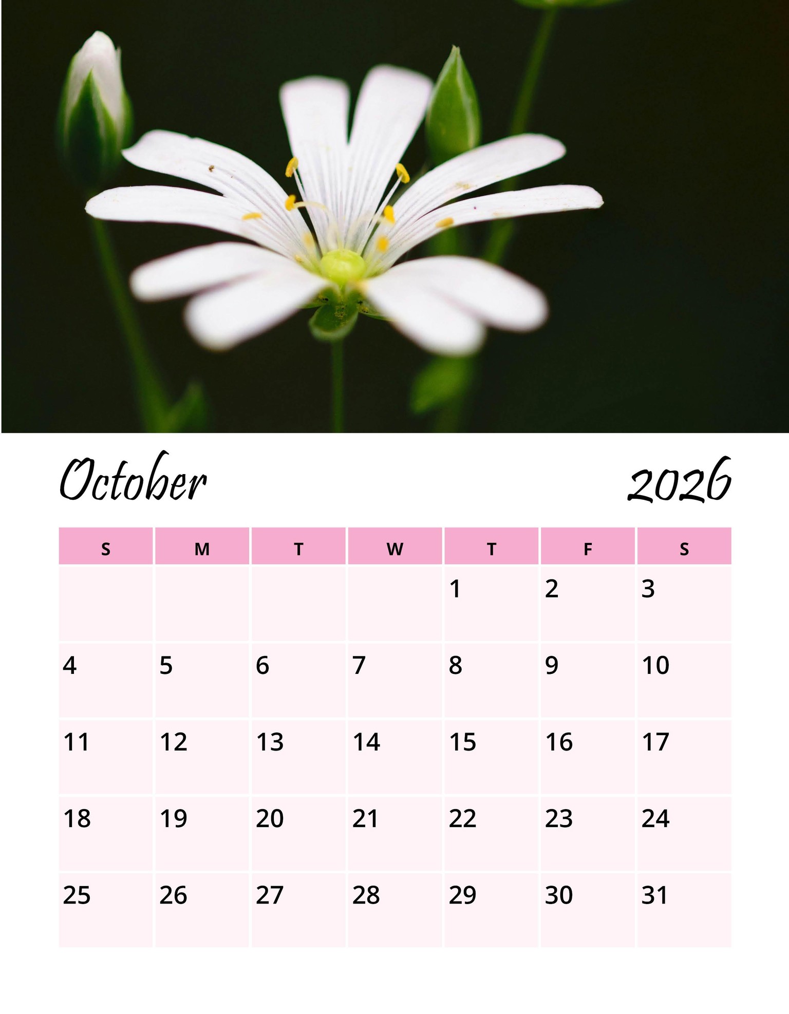 2026 Flowers Wall Calendar - image 12 - student project