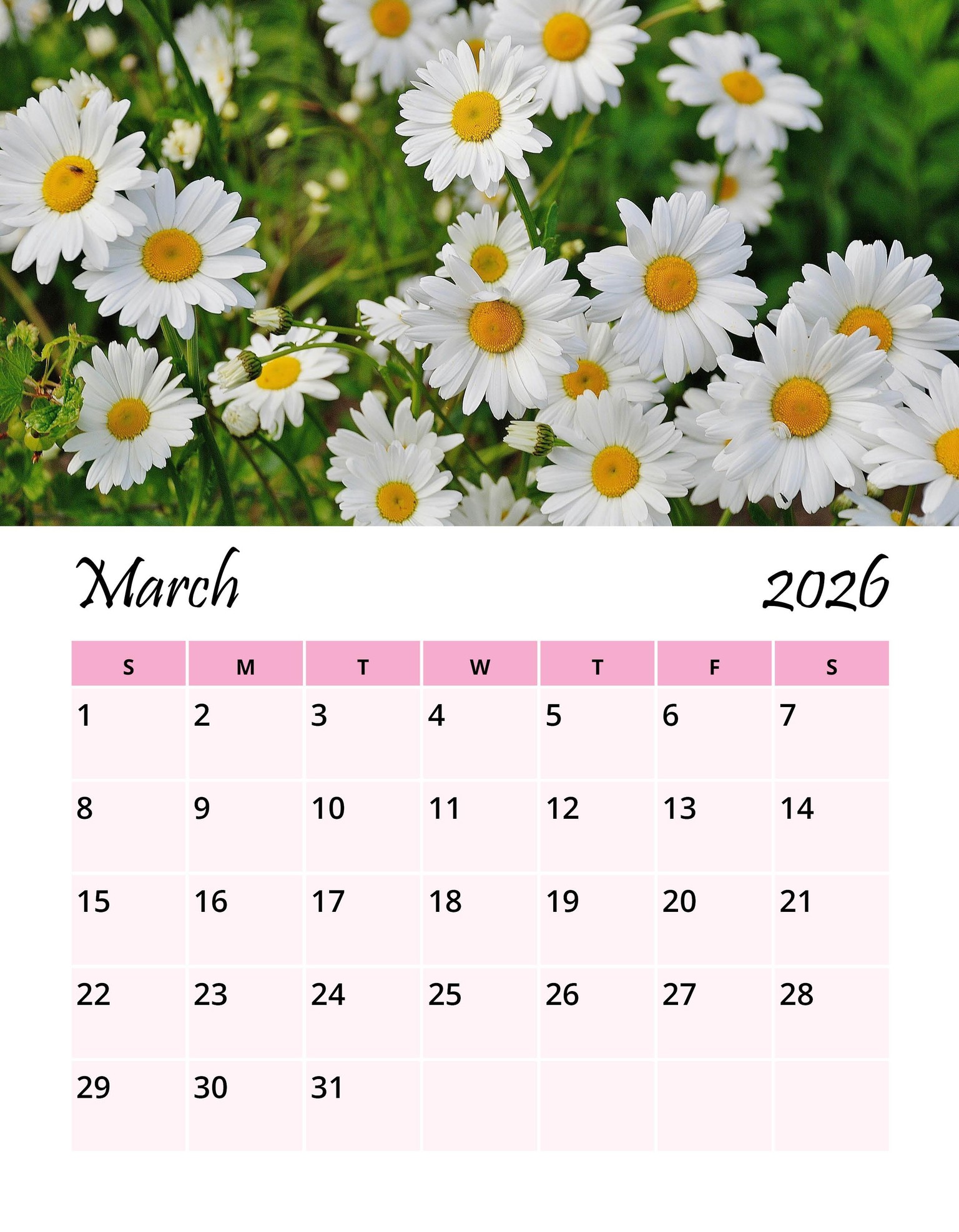2026 Flowers Wall Calendar - image 5 - student project