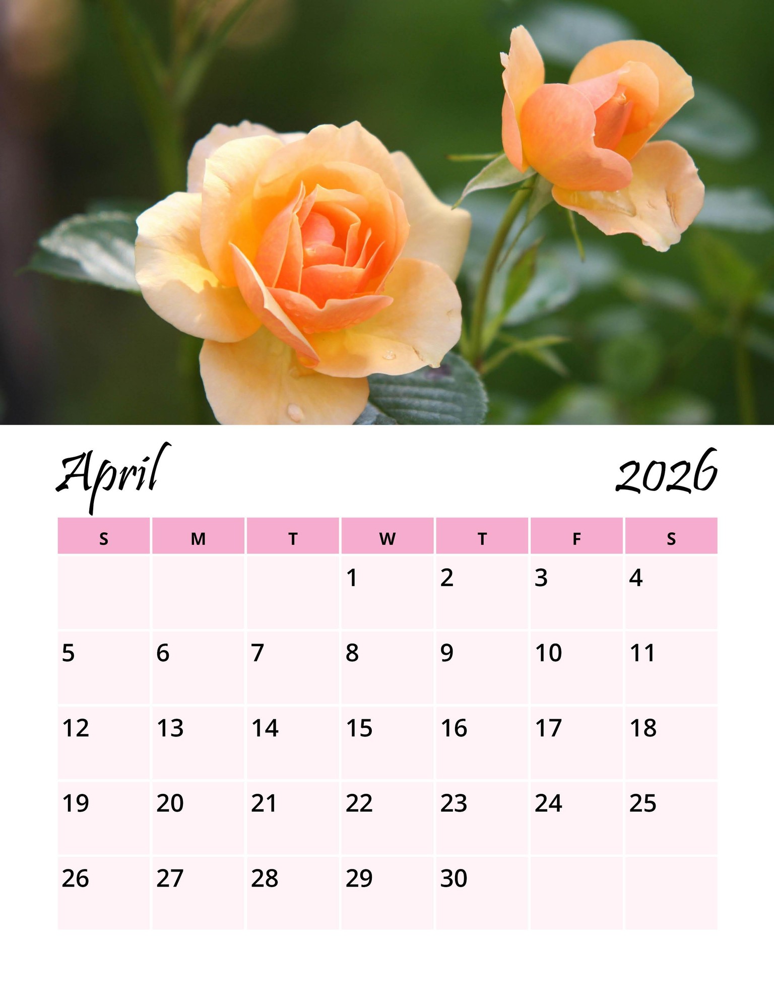 2026 Flowers Wall Calendar - image 6 - student project