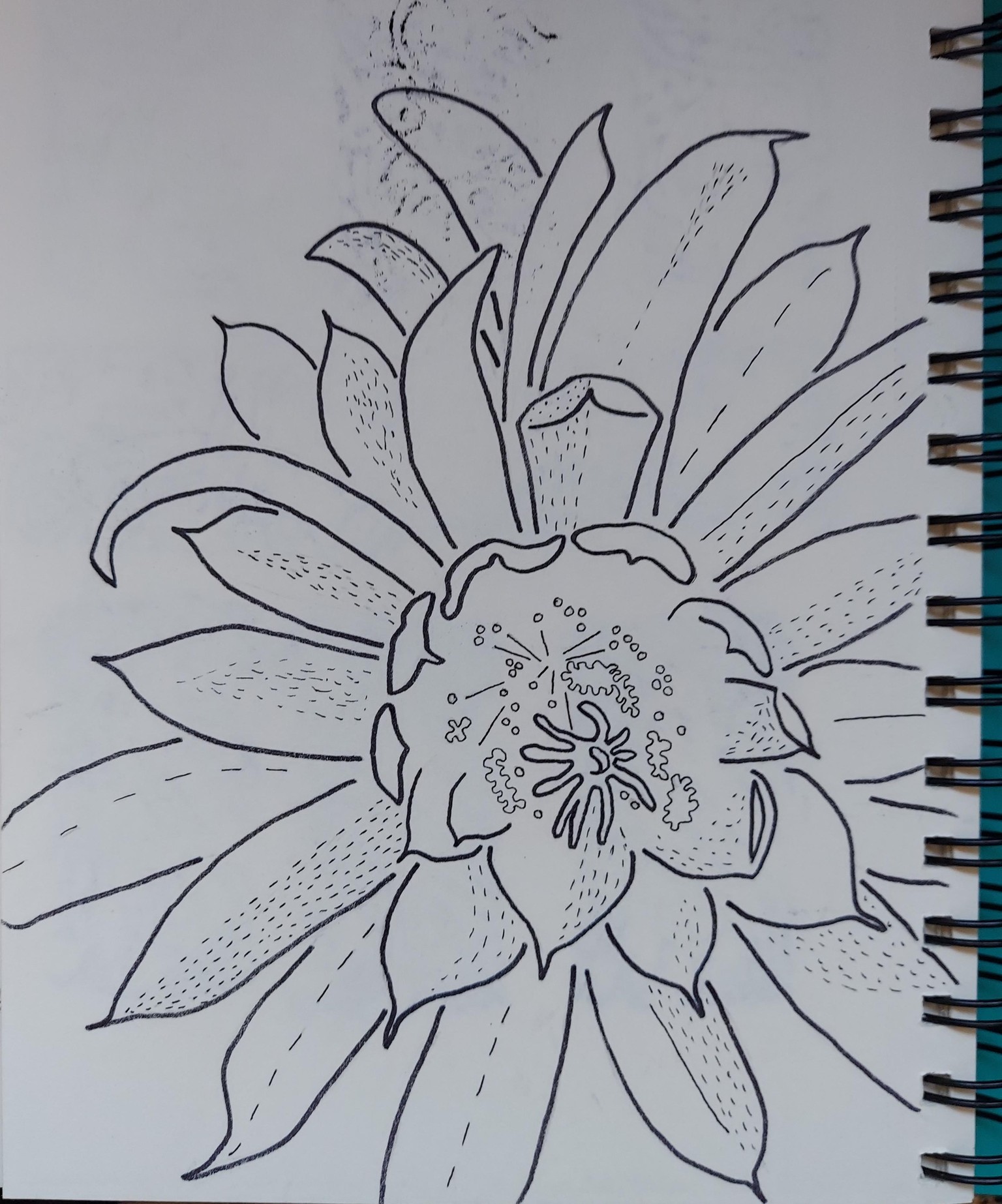 Sherma's Projects - image 1 - student project
