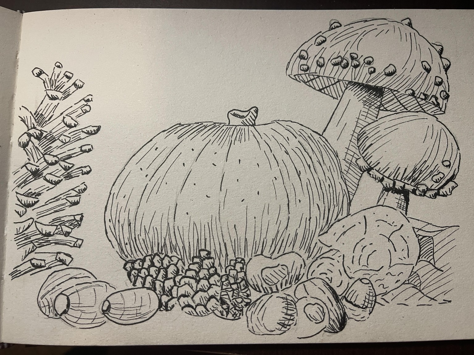 Pumpkin - image 1 - student project
