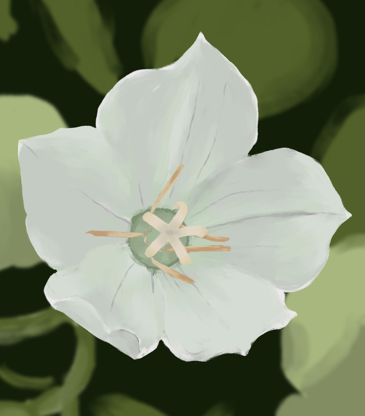Drawing Daily. February - image 8 - student project