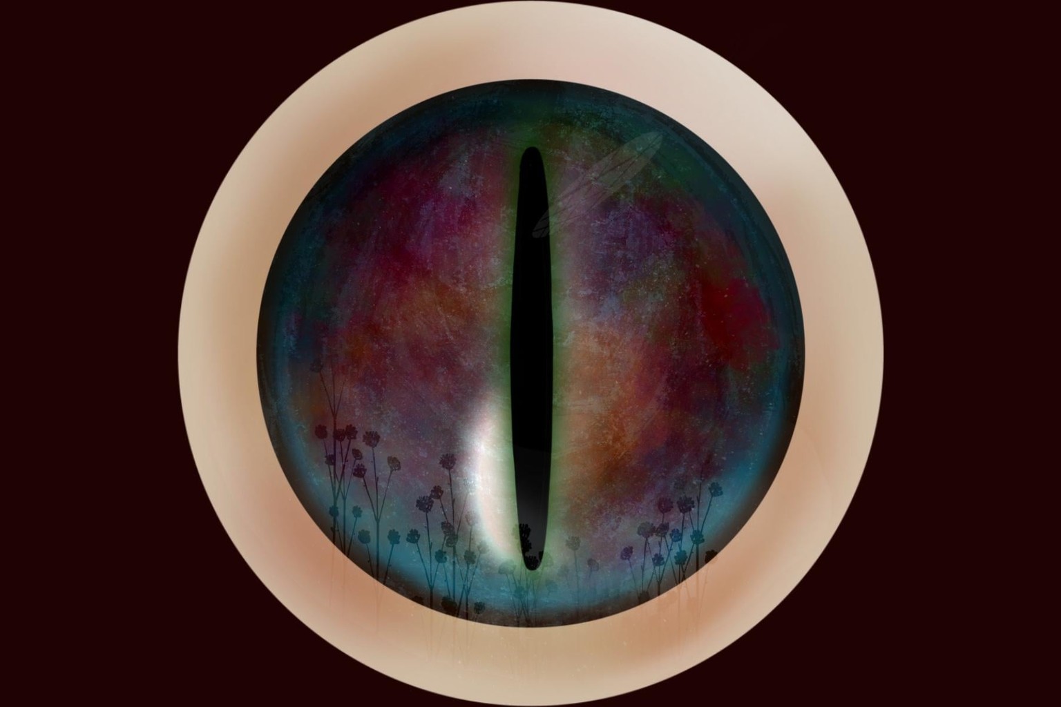 Color eye - image 1 - student project