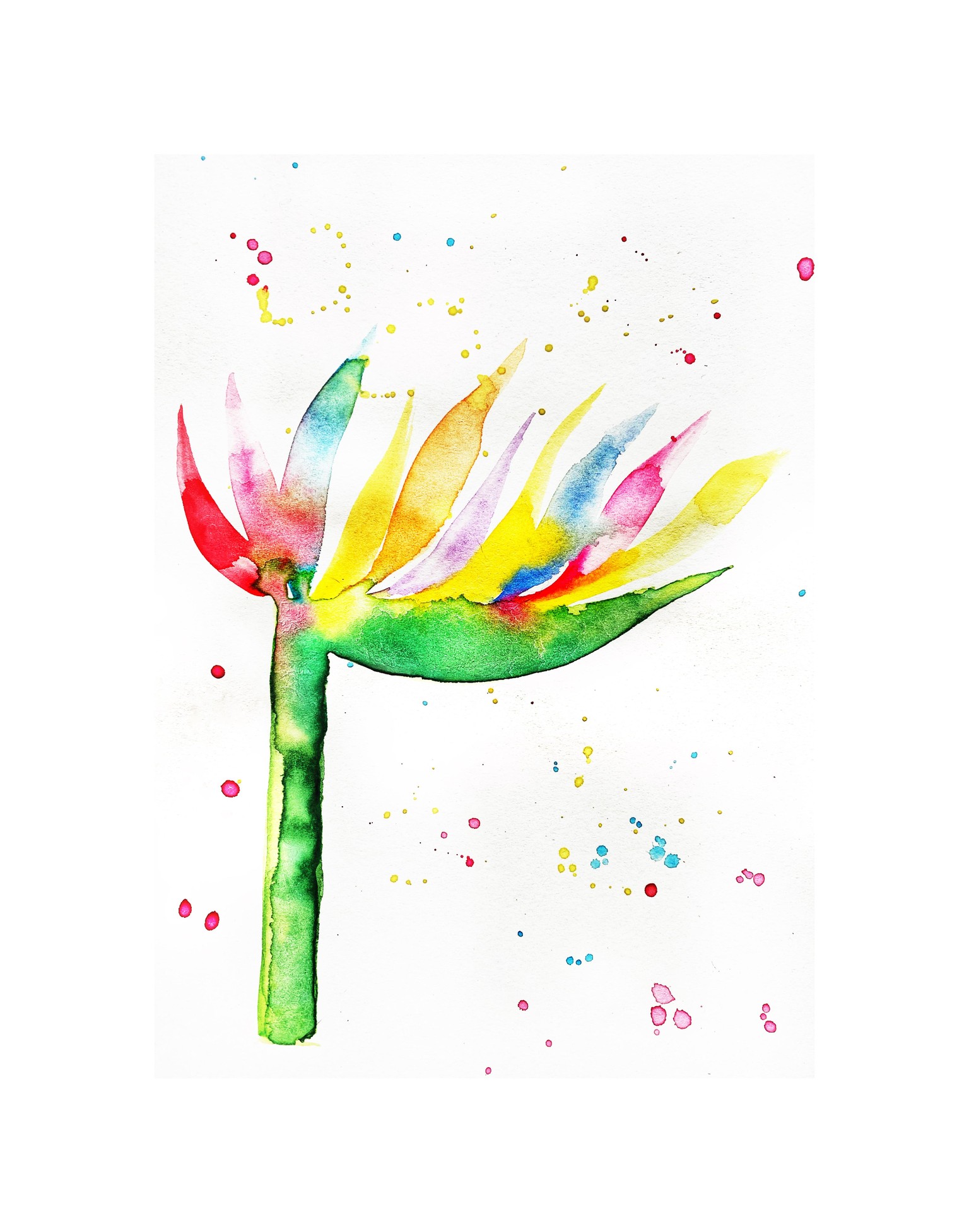Vibrant Bird of Paradise in Watercolor - image 3 - student project