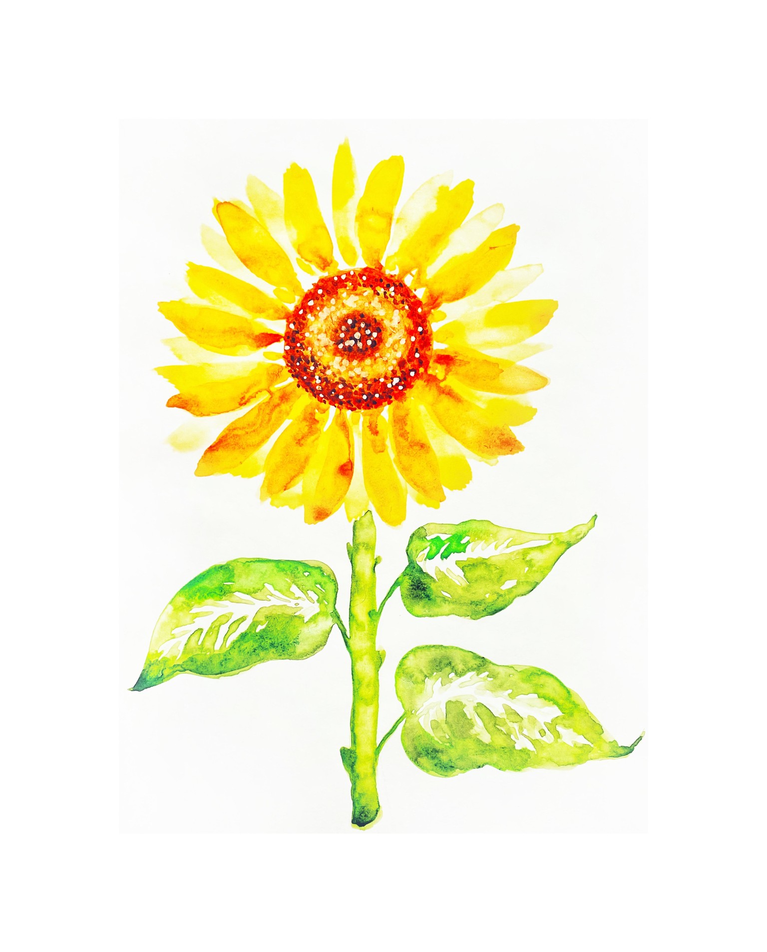 Sunflowers in Watercolor - image 1 - student project