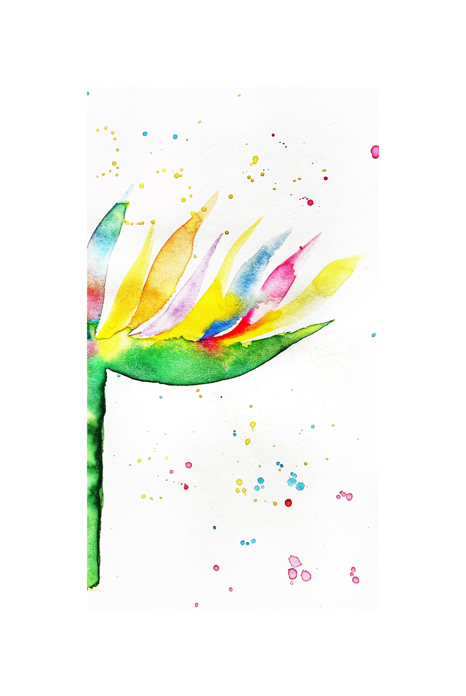 Vibrant Bird of Paradise in Watercolor - image 1 - student project