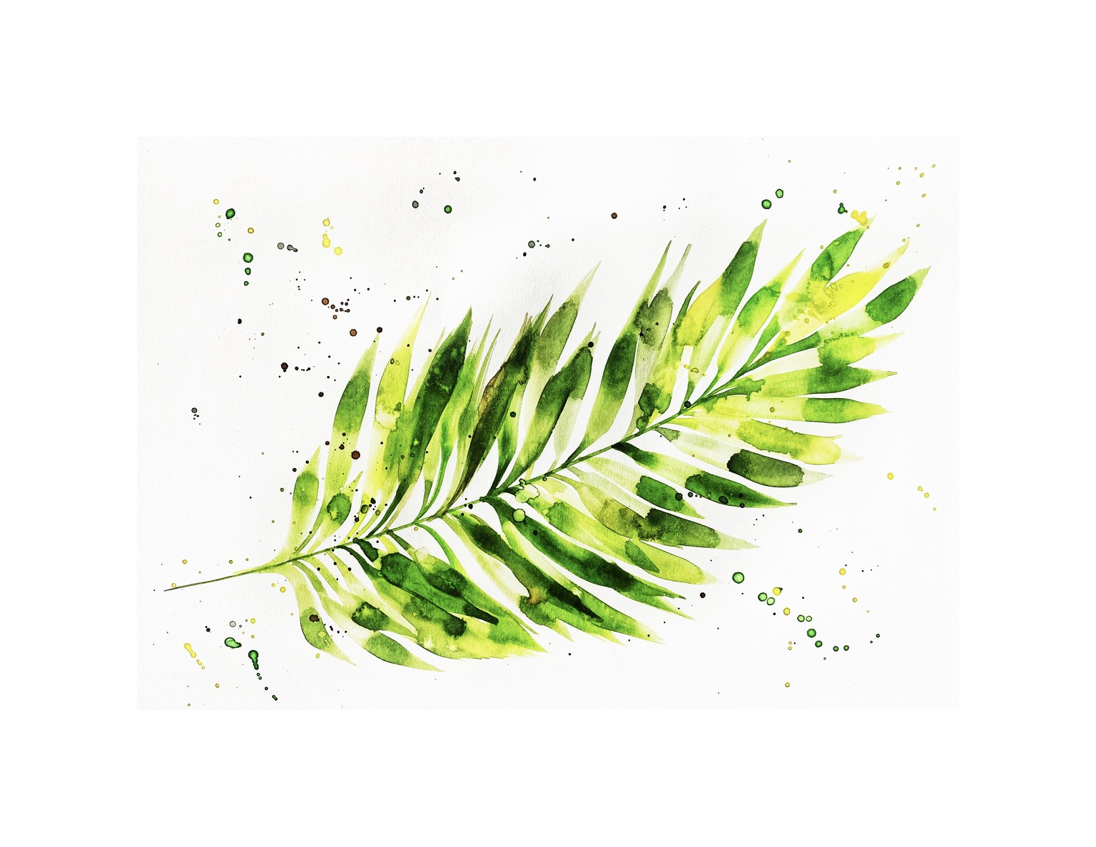 Expressive Areca Palm in Watercolor - image 2 - student project