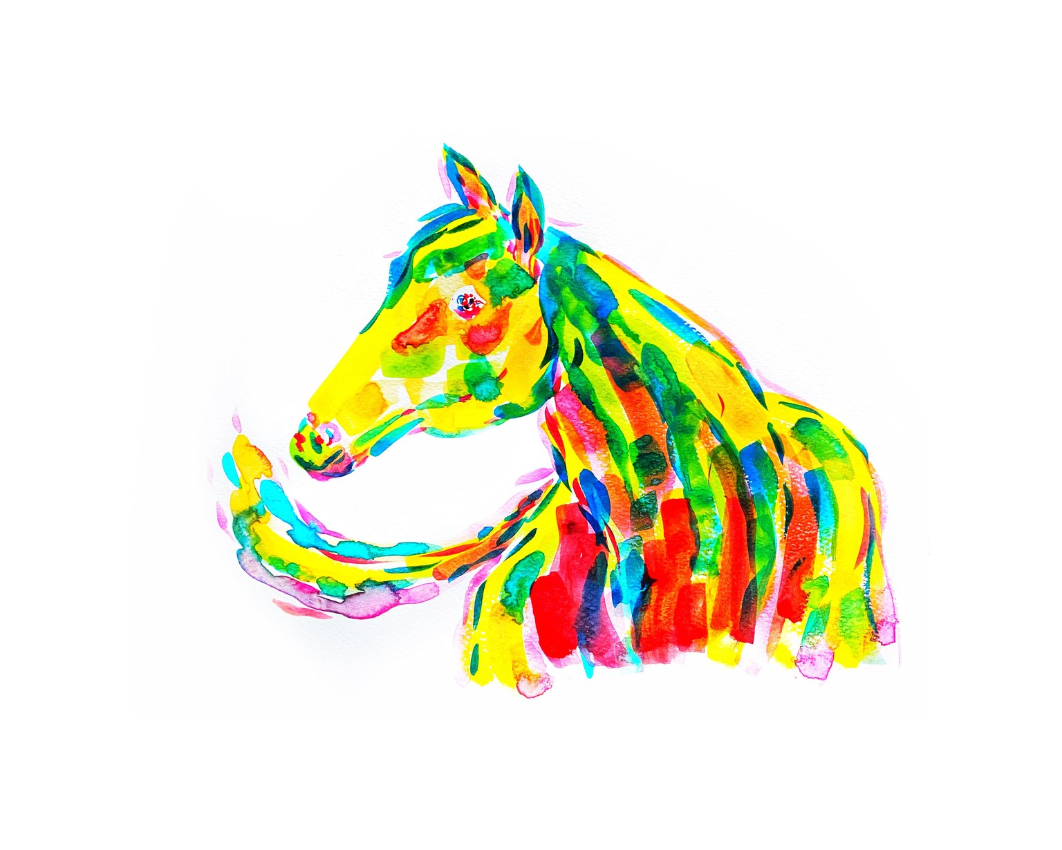 Horse Watercolor - image 2 - student project