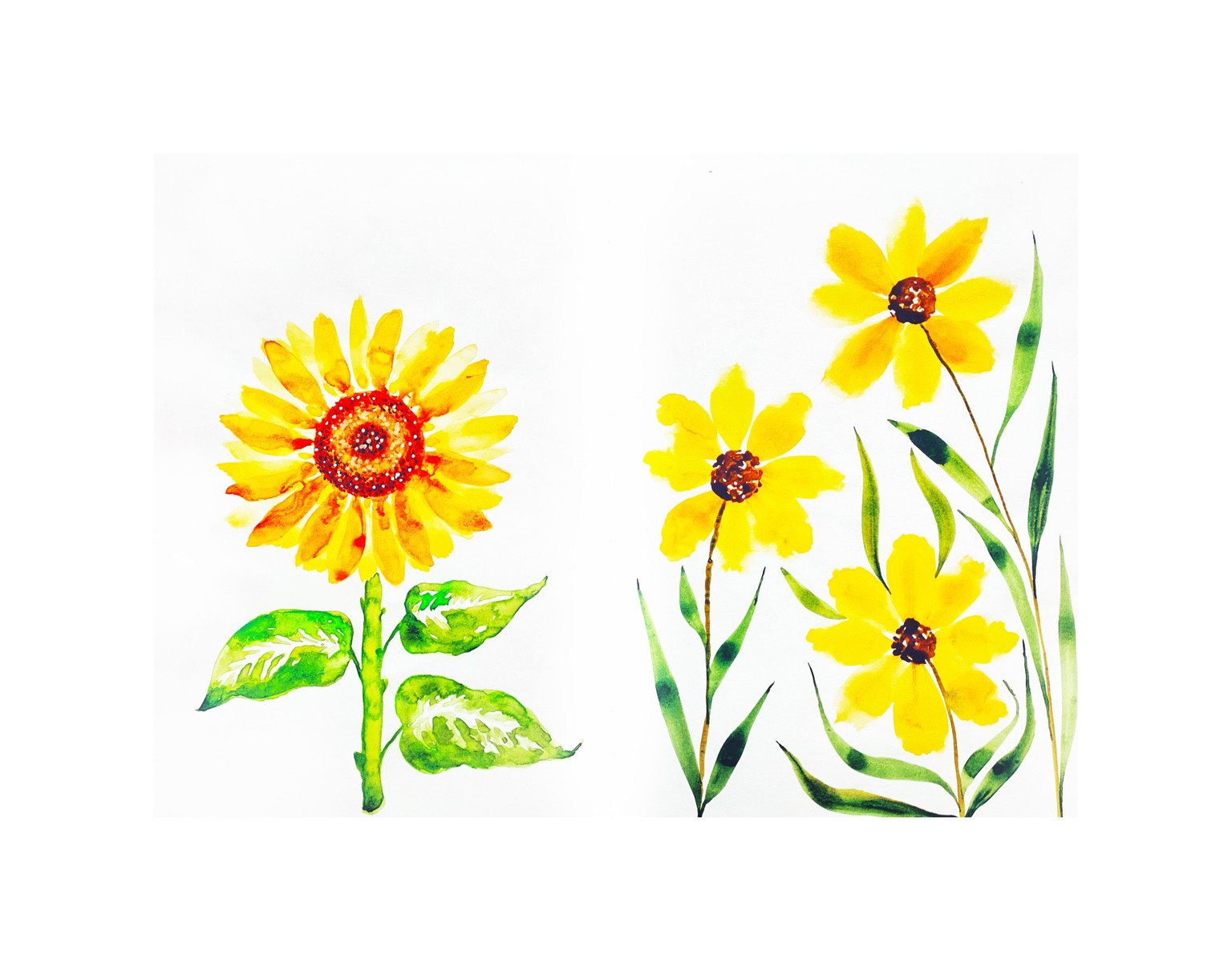 Sunflowers in Watercolor - image 2 - student project