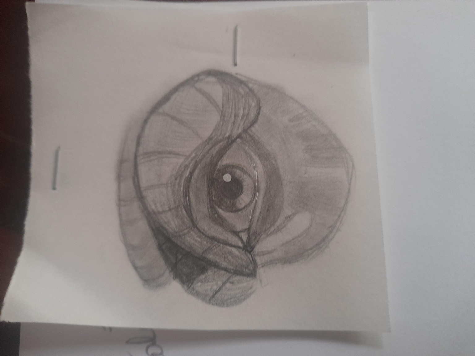 eyes - image 3 - student project
